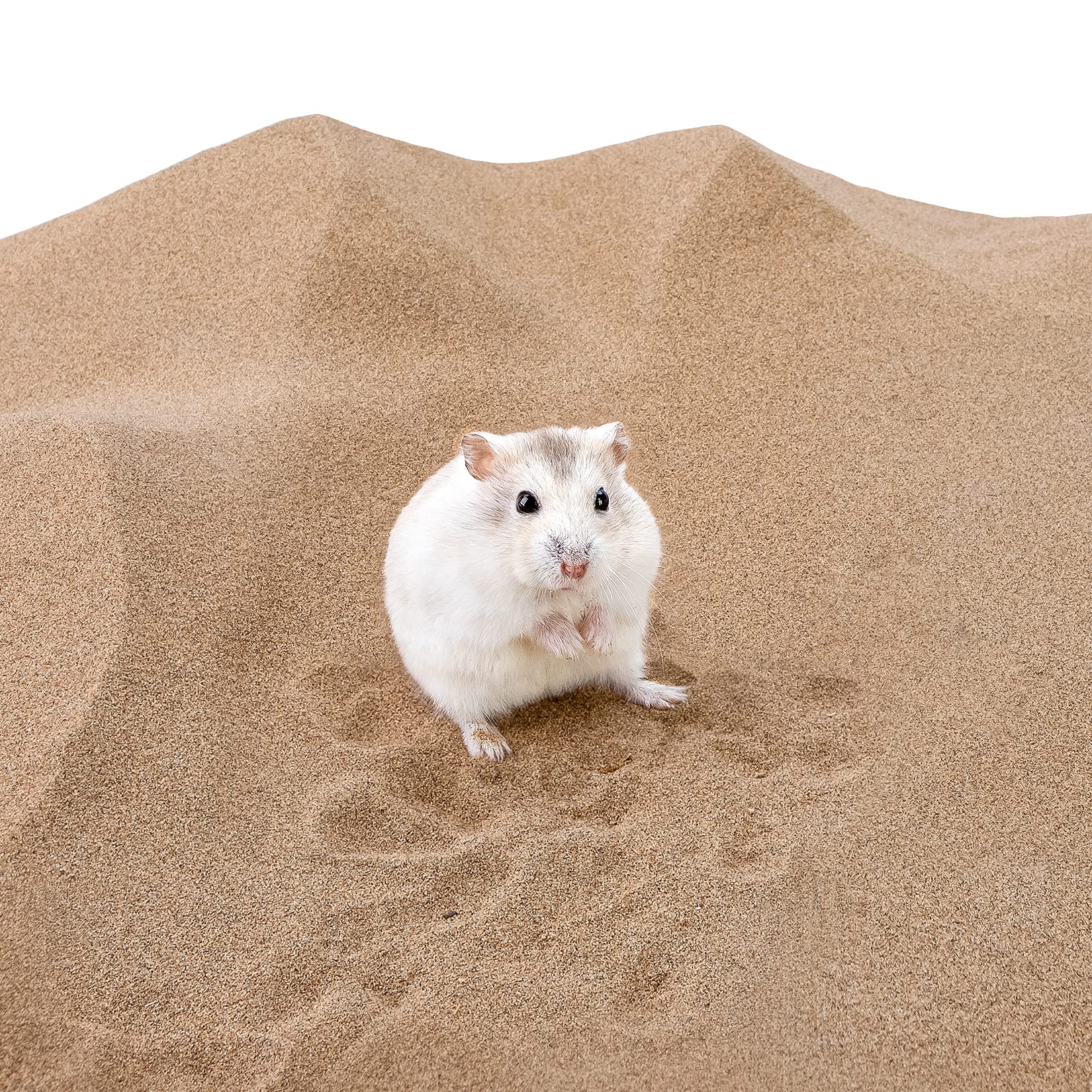 Niteangel Hamster Desert Bath Sand | No-Dust Bath Or Potty Litter Sand For Hamster Chinchillas Gerbil Mice Degu Or Other Small P