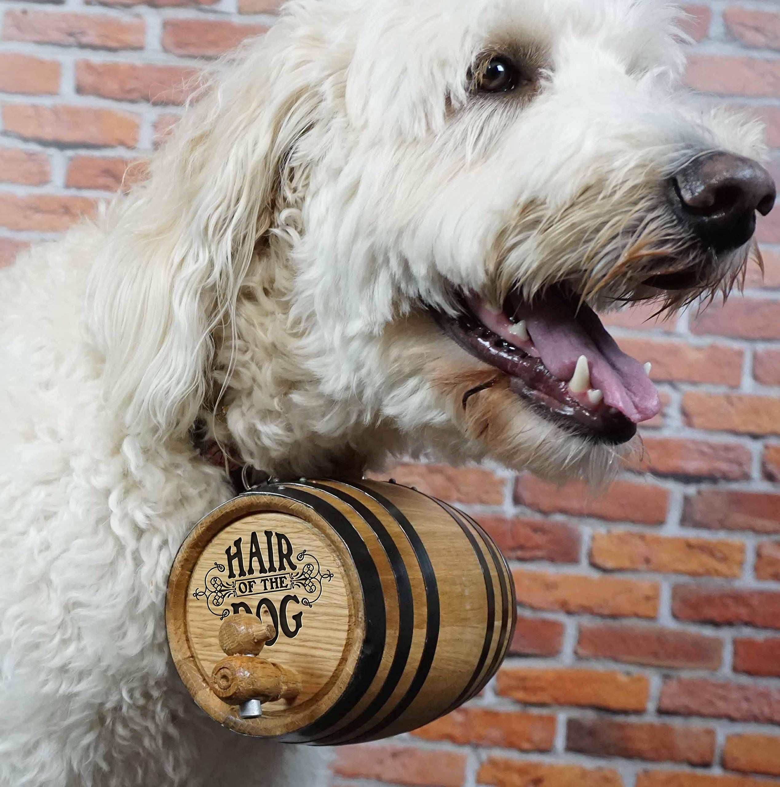 St Bernard Whiskey Barrel Collar For Dog, 'Hair Of The Dog' - 1/2 Liter Oak Aging Barrel Dispenser For Saint Bernard Dogs With Adjustable, Real Leather Harness Strap