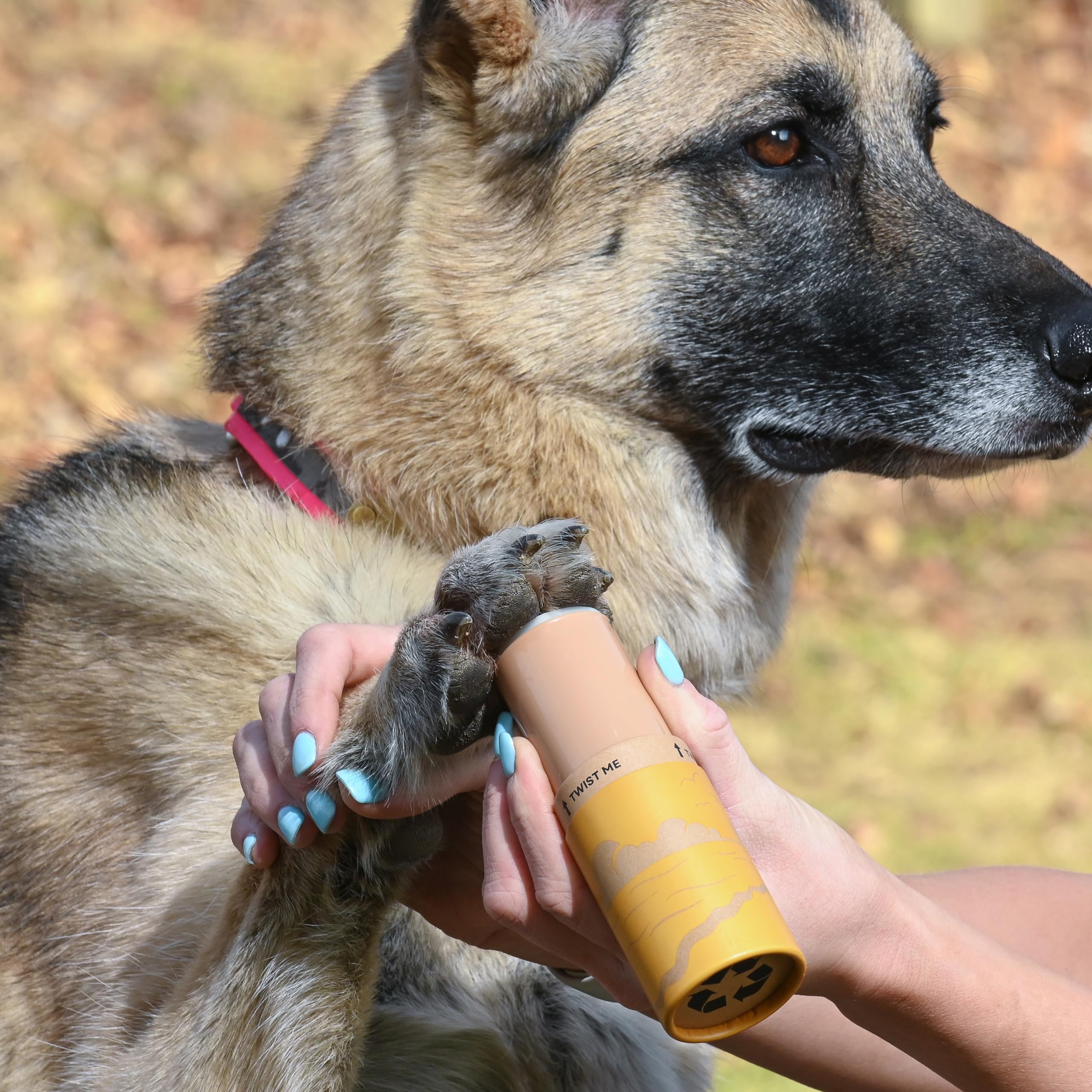 Rhino Wax - Dog Paw Beach Wax 2Oz - Protects Against Sharp Rocks, Hot Sand, Glass, Coral, Or Other Hazards At Beaches - Moisturi