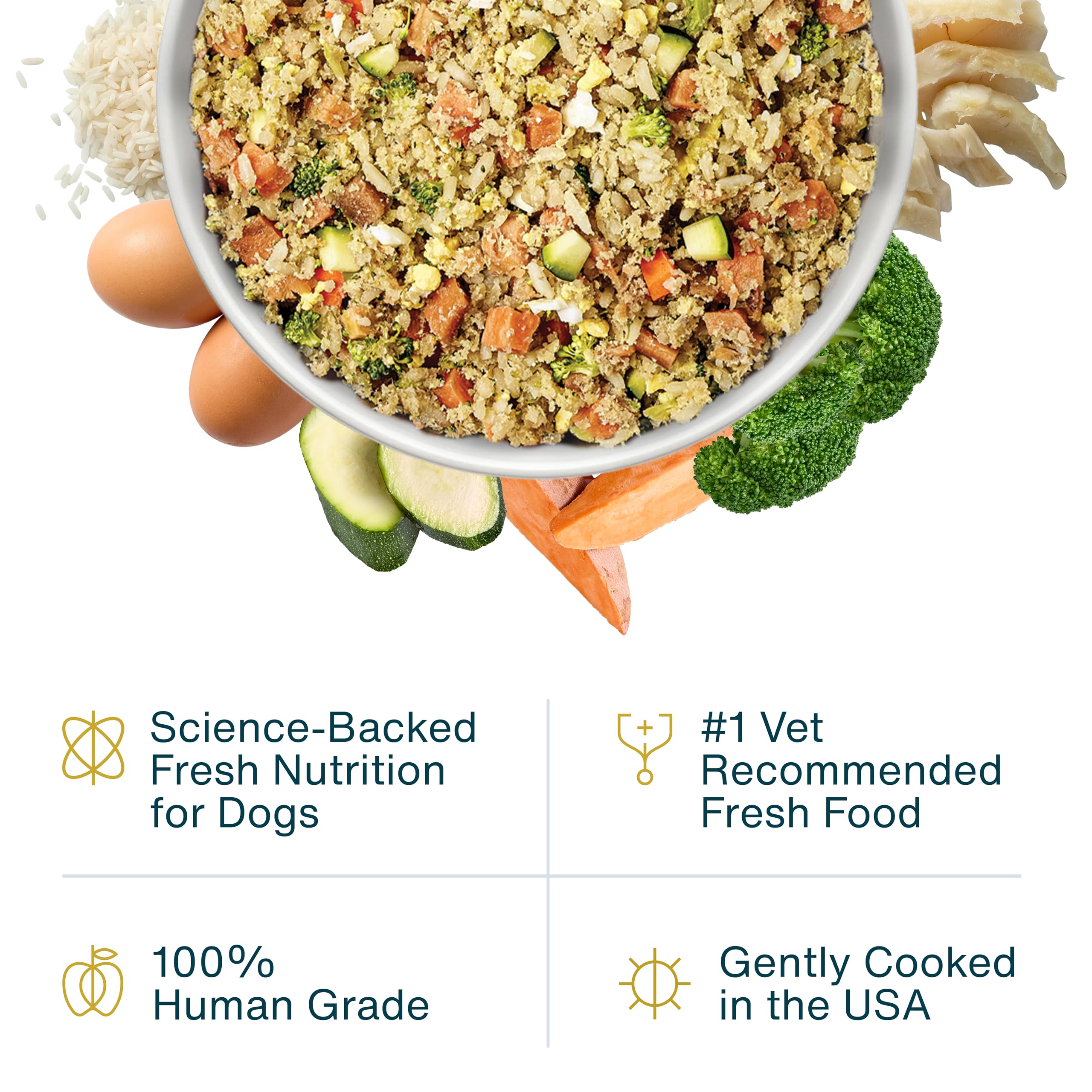 JustFoodForDogs Pantry Fresh Wet Dog Food for Liver Health, Rx Hepatic Low Fat Support, Human Grade - 12.5 oz (Pack of 12)