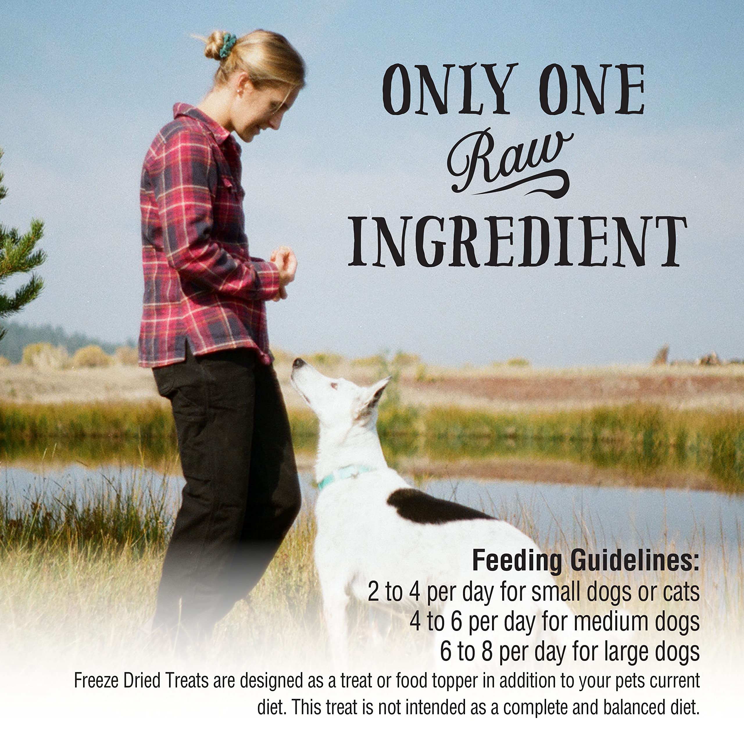 Northwest Naturals Raw Rewards Freeze-Dried Chicken Heart Treats for Dogs and Cats - Bite-Sized Pieces - Healthy, 1 Ingredient,