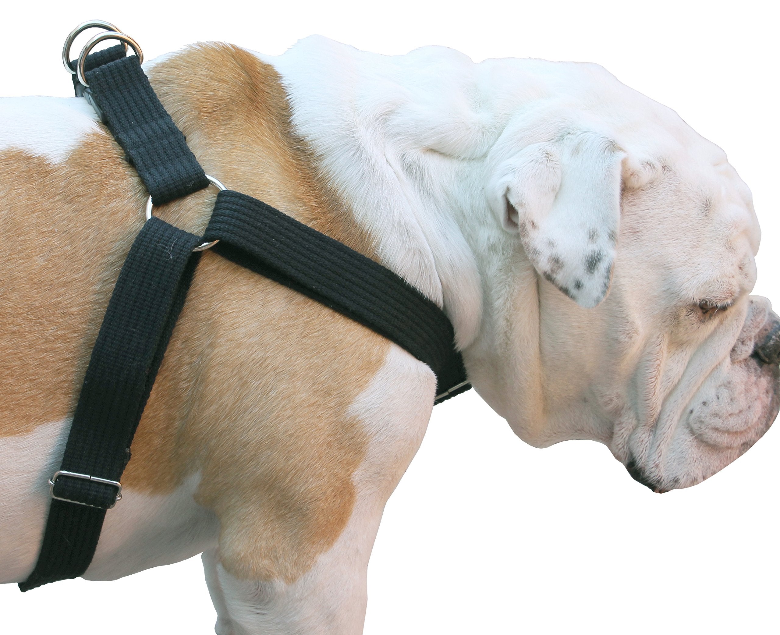Cotton Web Adjustable Dog Step-In Harness 4 Sizes Black (Xlarge: 21'-37' Chest; 1.2' Wide)