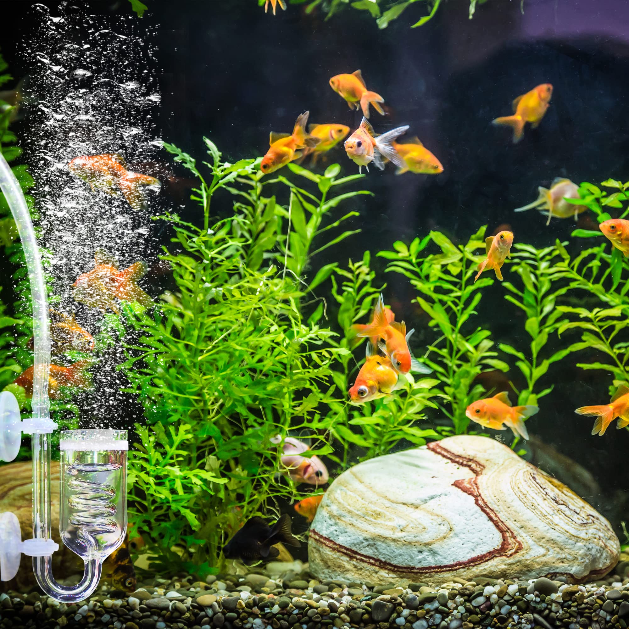 Yagote CO2 Diffuser, 3 Spiro Glass CO2 Diffuser, Glass Reactor for Aquarium Plants, Suitable for Tanks 15-50 Gal/60Liter - 200Li