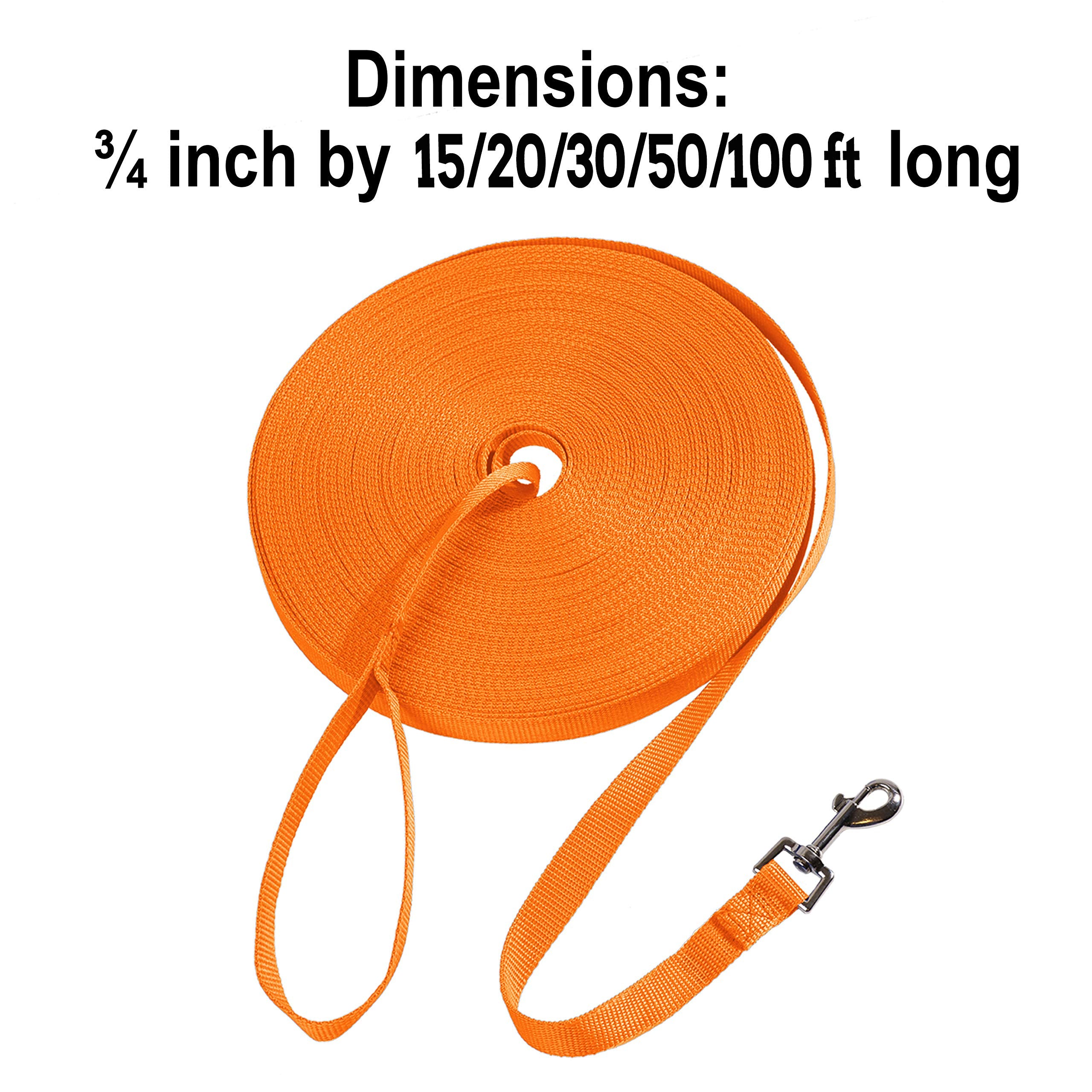 Hi Kiss Dog Training Leash - 30ft Nylon Agility Lead, Orange - Ideal for Recall, Play, Camping, Backyard Activities