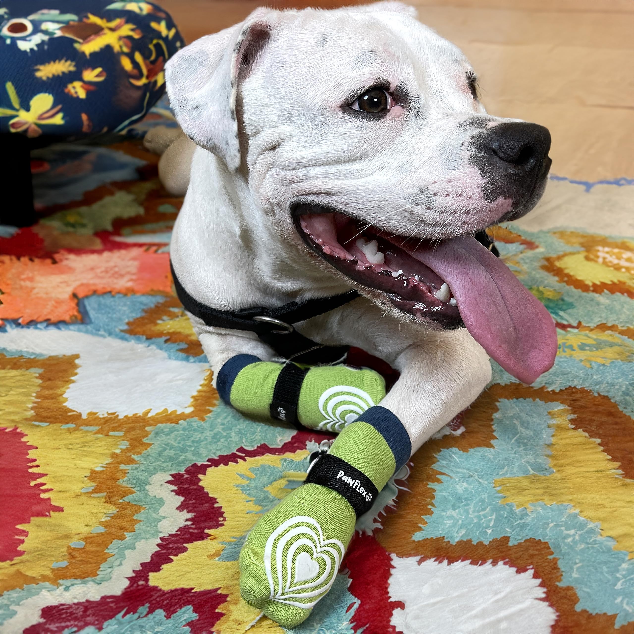 PawFlex Non-Slip Cotton Dog Socks for Seniors | XXS Green | Model PFWBFP12 | Traction Control & Paw Protection