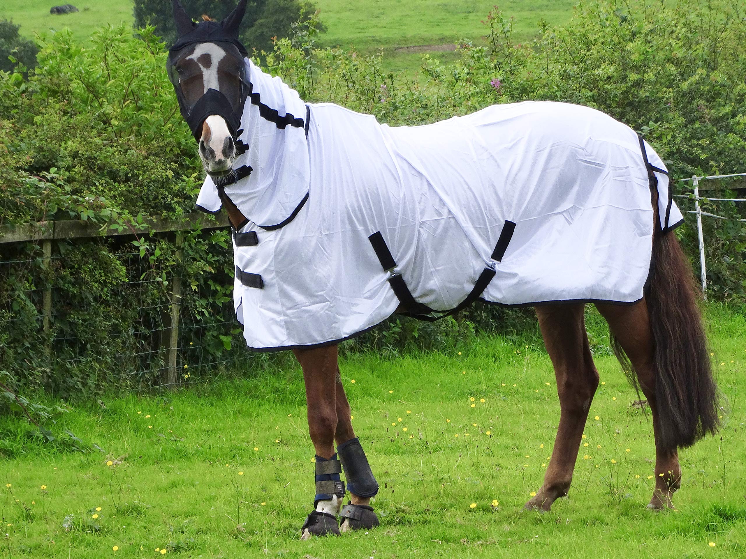 Turner Cool White Fly Rug For Horse/Pony/Shetland - Lightweight Full Neck Combo - 81'