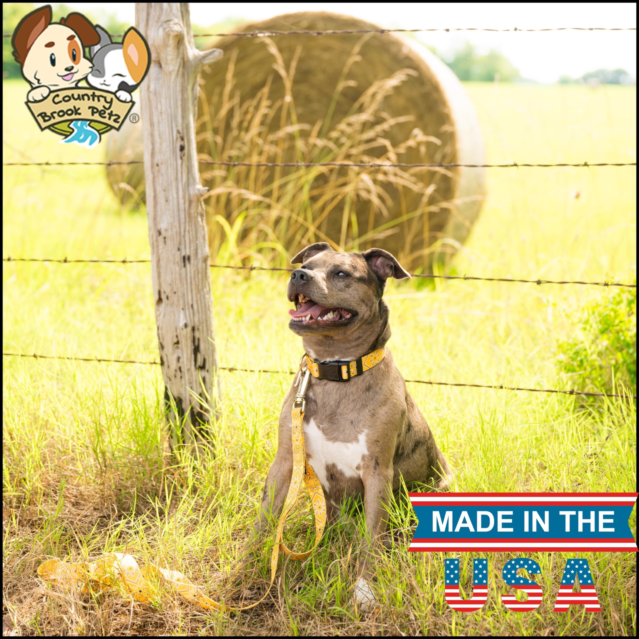 Country Brook Petz - Deluxe Yellow Bandana Dog Collar - Made In The U.S.A. - Country And Western Collection Featuring Rustic Des