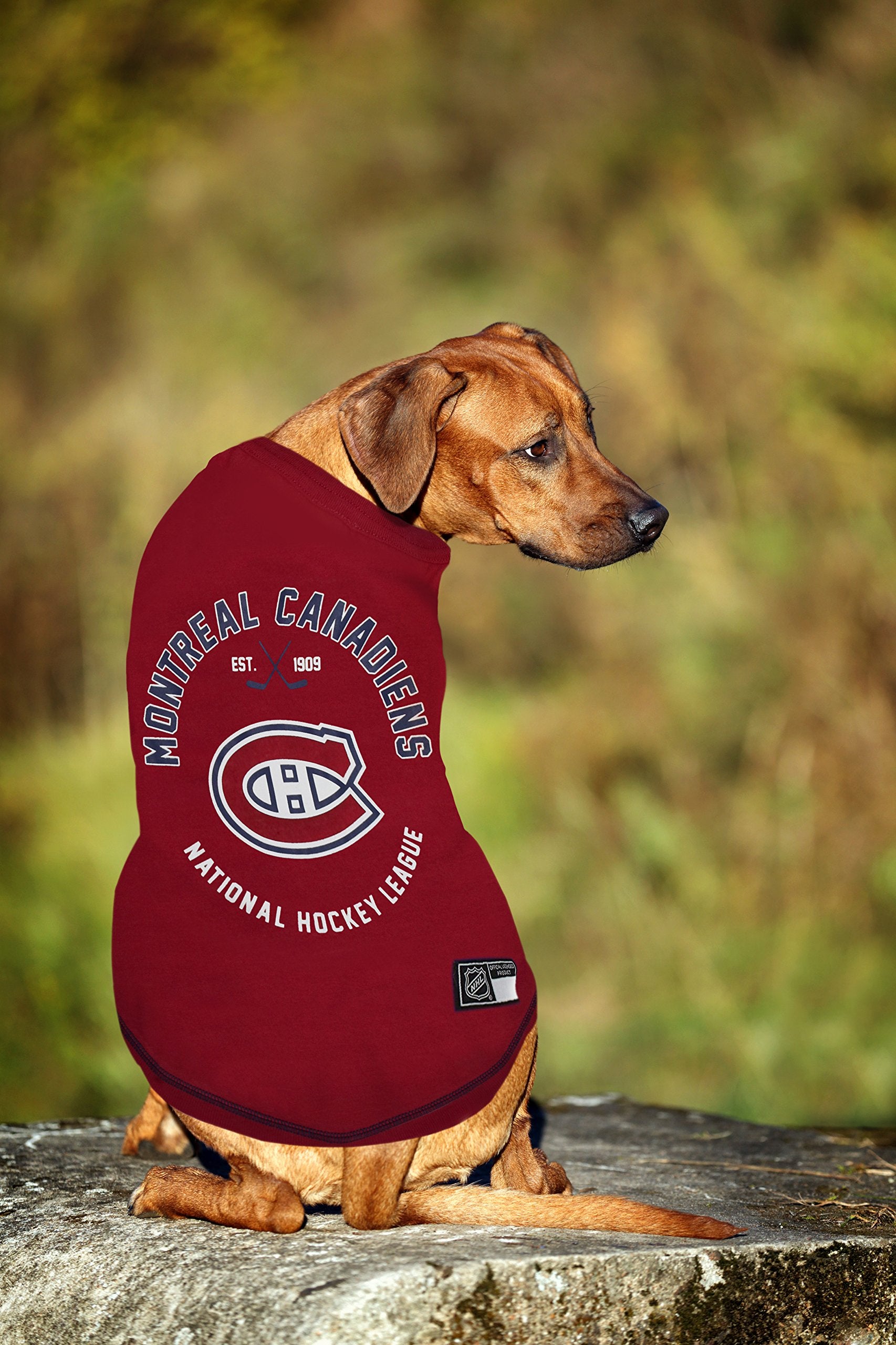 NHL Montreal Canadiens Tee Shirt for Dogs & Cats, Small. - Are You A Hockey Fan? Let Your Pet Be An NHL Fan Too!