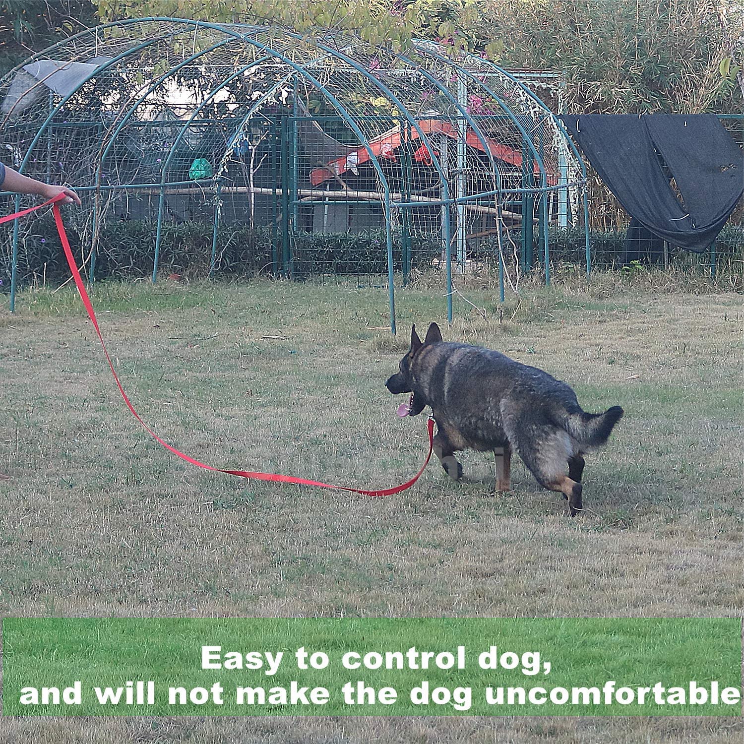 Siumouhoi Strong Durable Nylon Dog Training Leash, 1 Inch Wide Traction Rope, 6 Ft 10Ft 15Ft Long, For Small And Medium Dog (Black, 15 Feet)