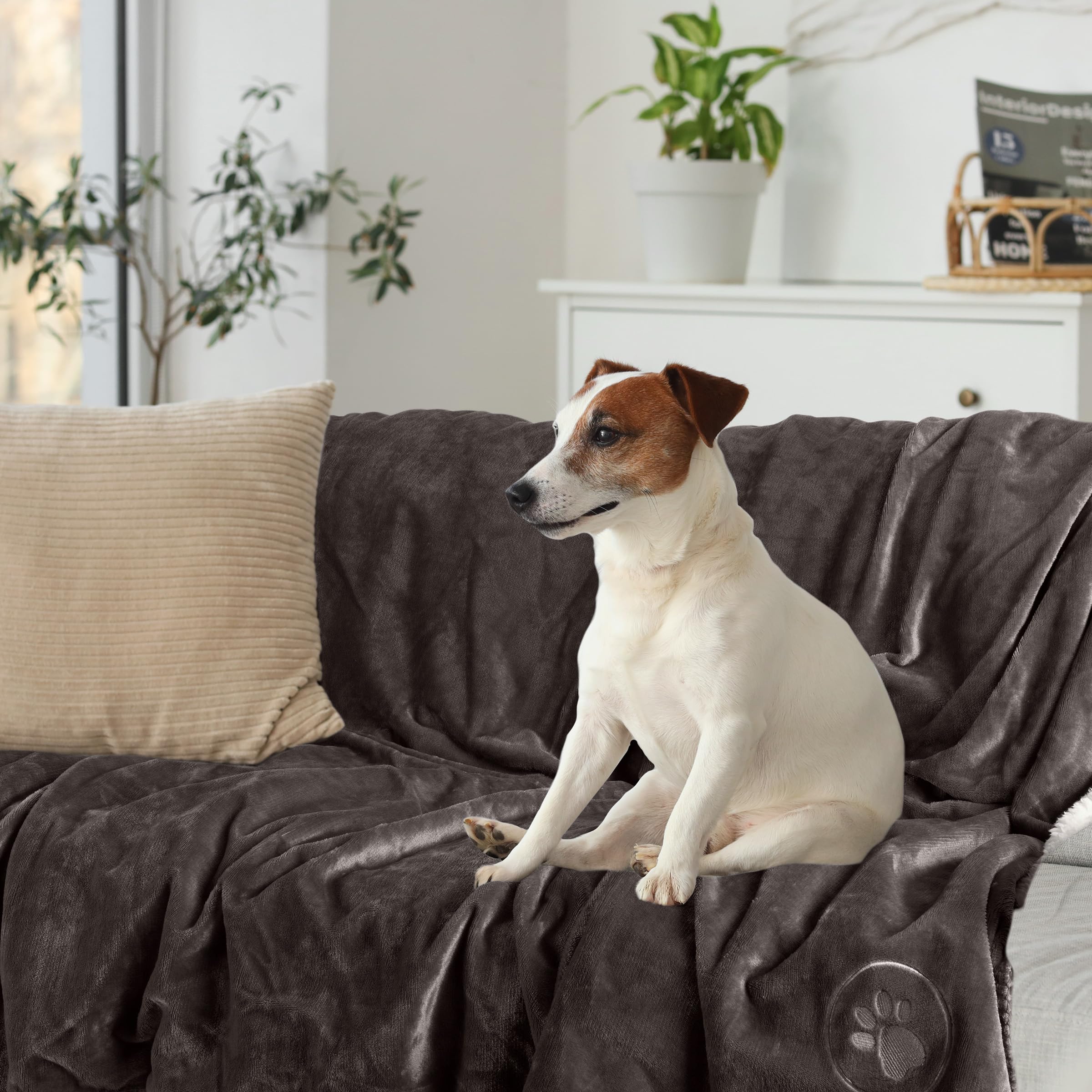 PETMAKER Dog Blanket - 60x80in Reversible Sherpa Blanket - Throw Blankets for Bed, Couch, or Car - Machine Washable Puppy Essent