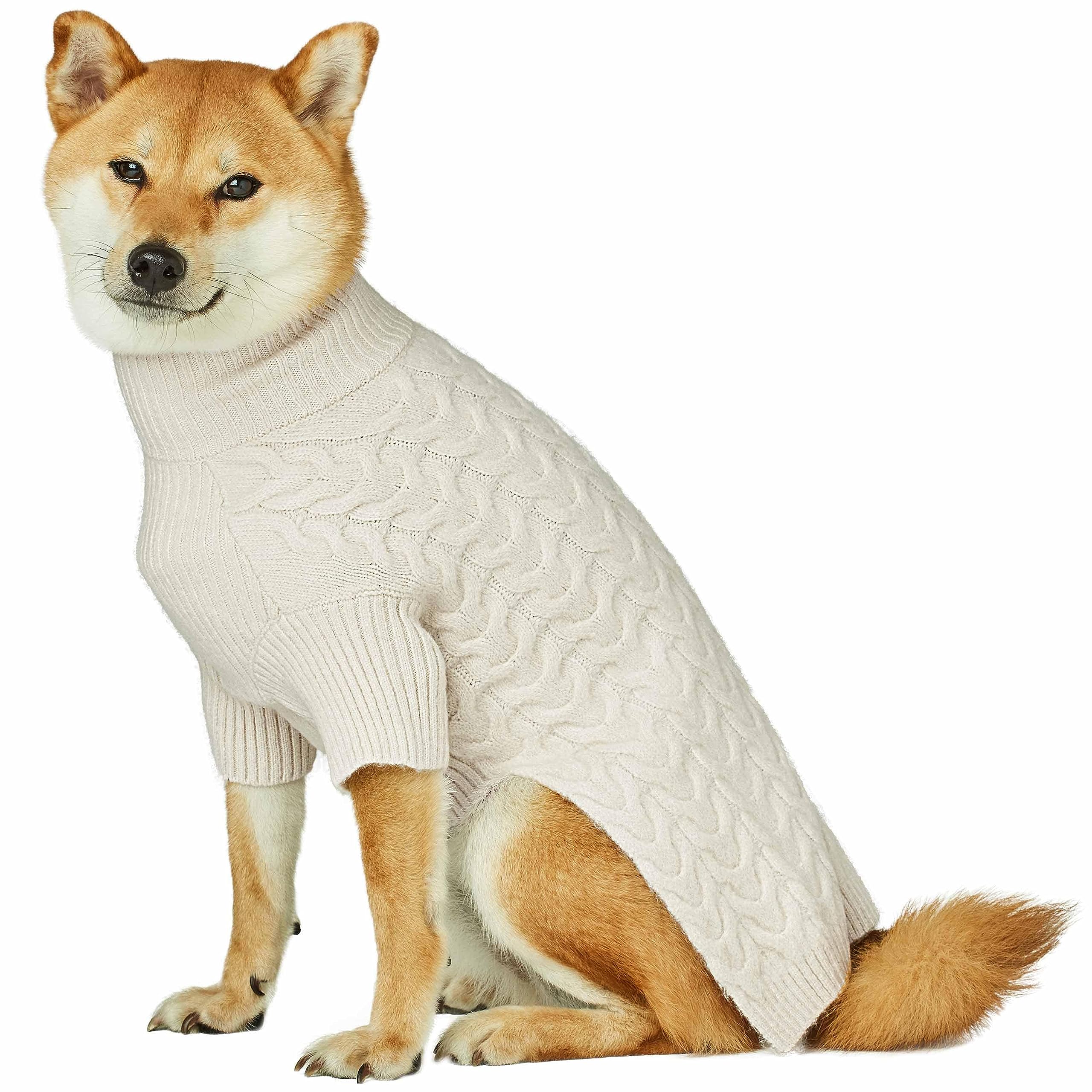 Blueberry Pet Classic Fuzzy Textured Knit Pullover Turtle-Neck Dog Sweater In Ivory, Back Length 10'', Pack Of 1 Clothes For Dog
