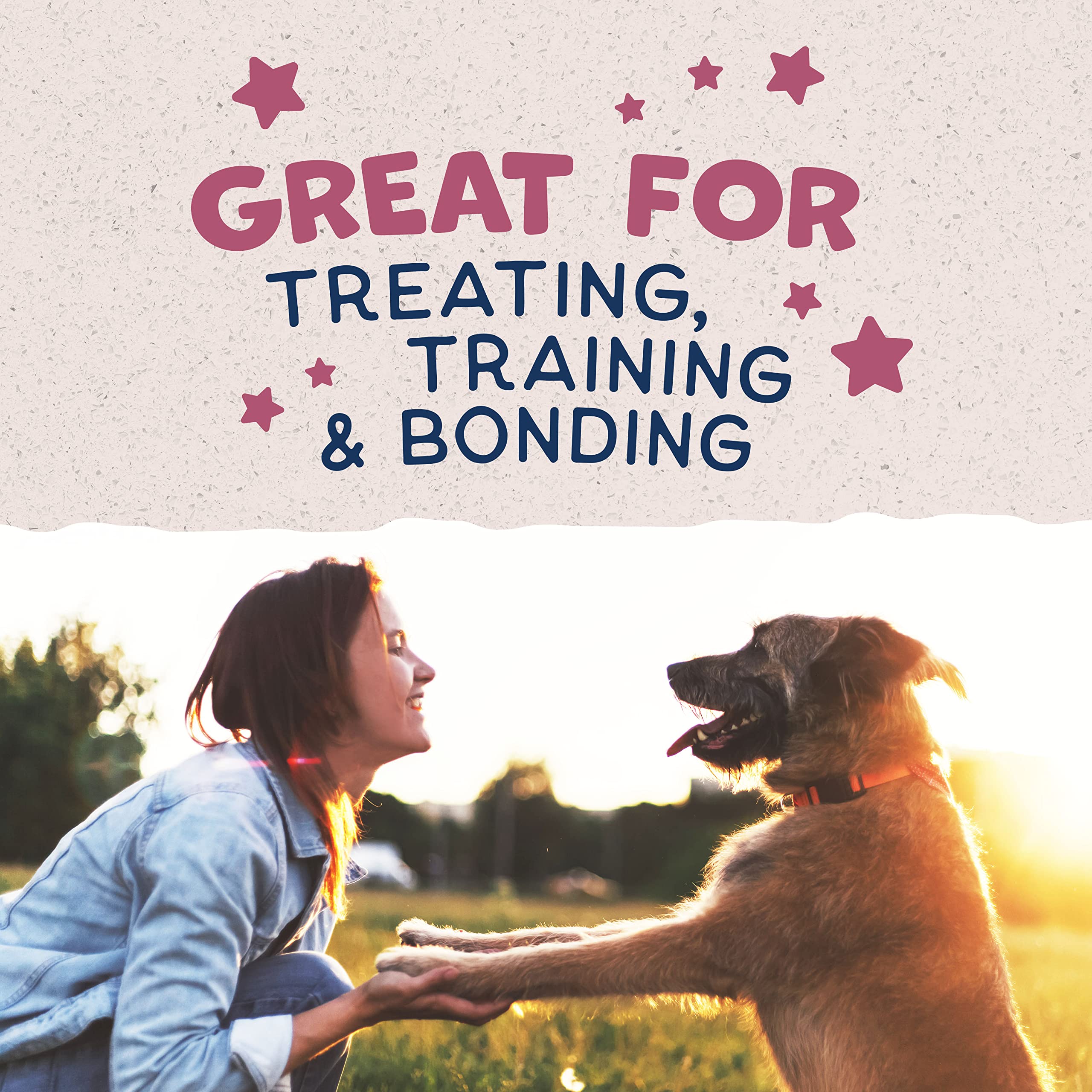 Natural Balance Limited Ingredient Rewards Jumpin Stix, Grain-Free Dog Treats for Adult Dogs of All Breeds, Venison Recipe, 10