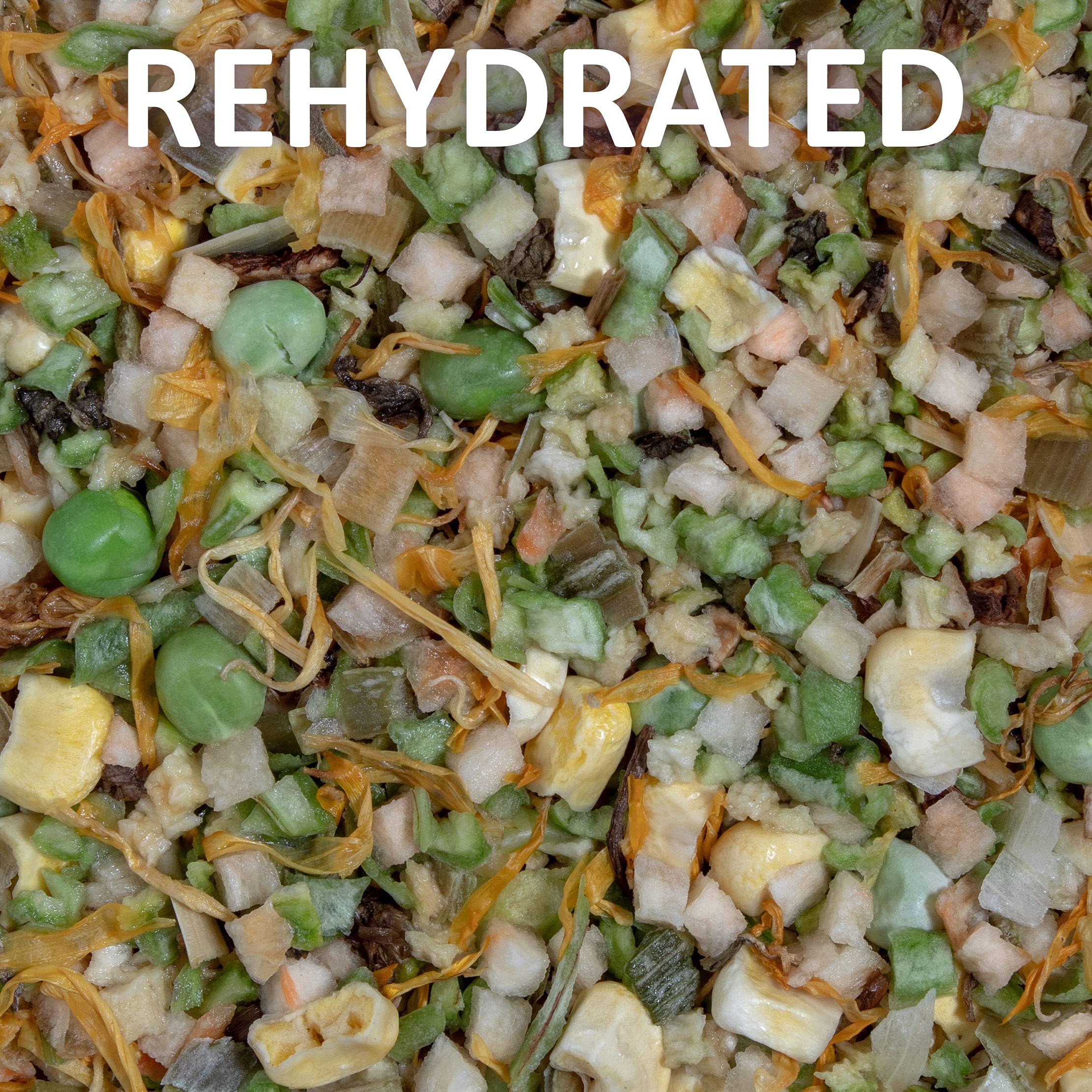Healthy Herp Veggie Mix Instant Meal for Reptiles - Nutritious Bearded Dragon Accessories, Bearded Dragon Food - Made in USA - Q