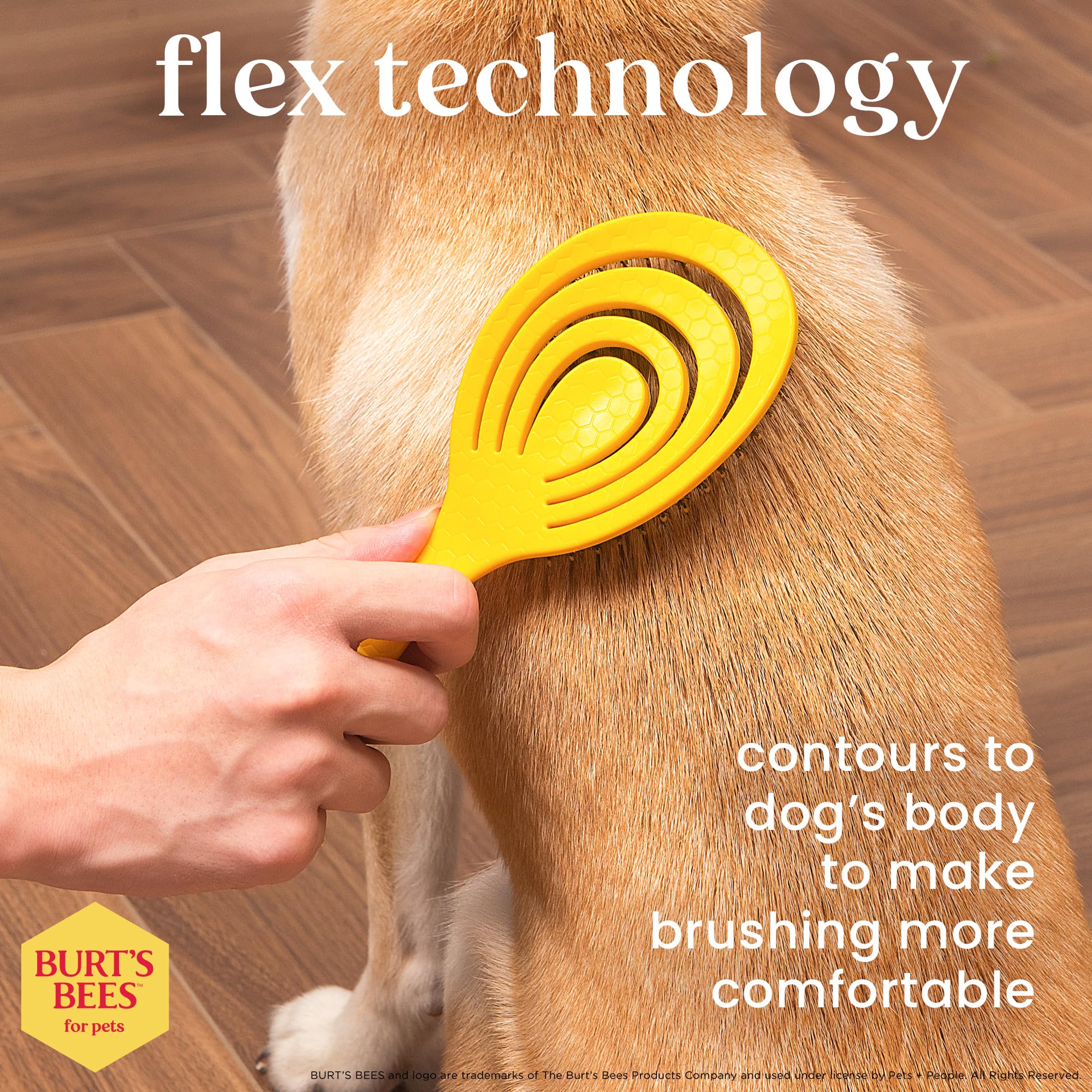 Burt's Bees for Pets Porcupine Bristle Brush, Large Dogs Hair Grooming Tool, Flex Technology, Recycled Plastics Handle, 9 Inches