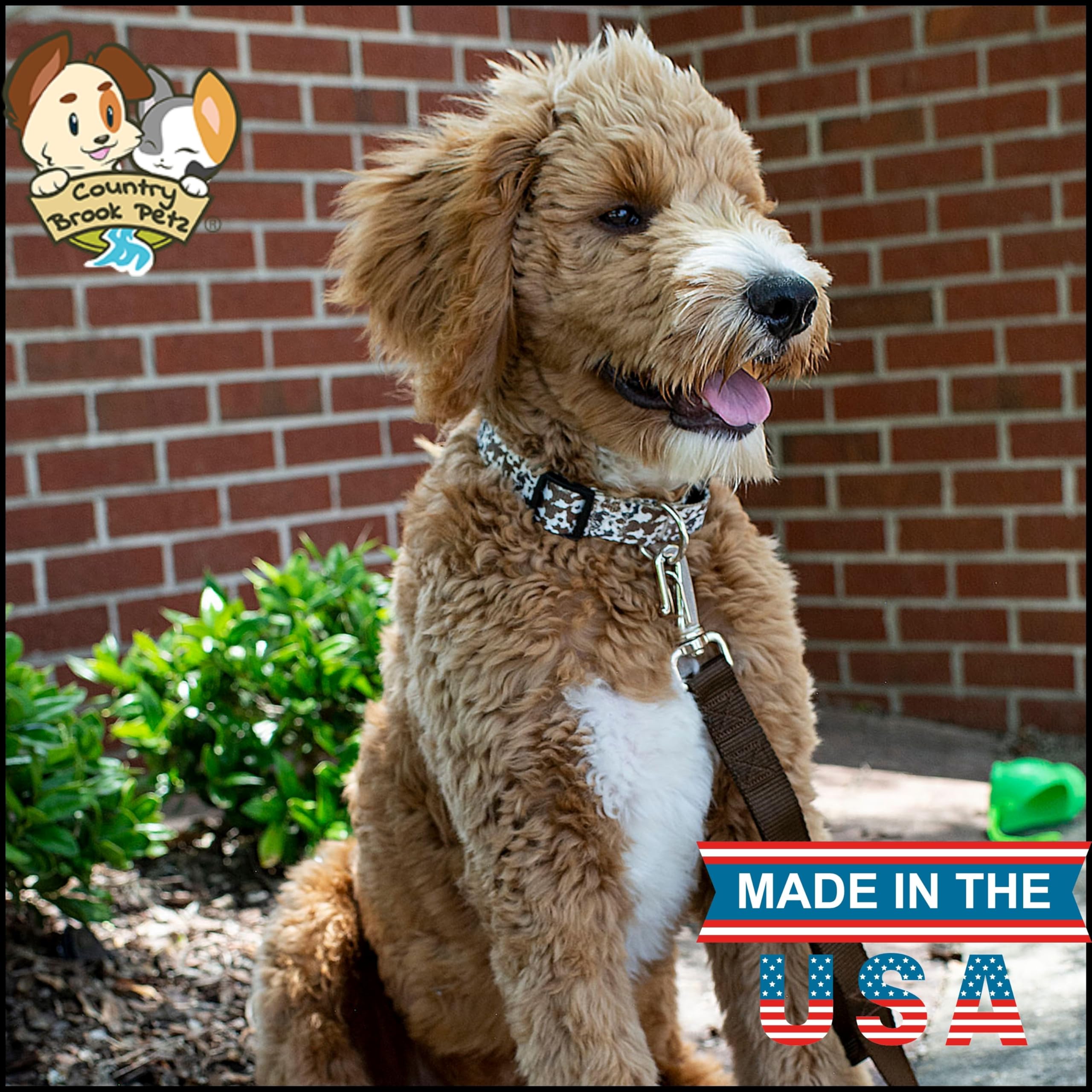 Country Brook Petz - Deluxe Cow Print Dog Collar - Made In The U.S.A. - Country And Western Collection Featuring Rustic Designs