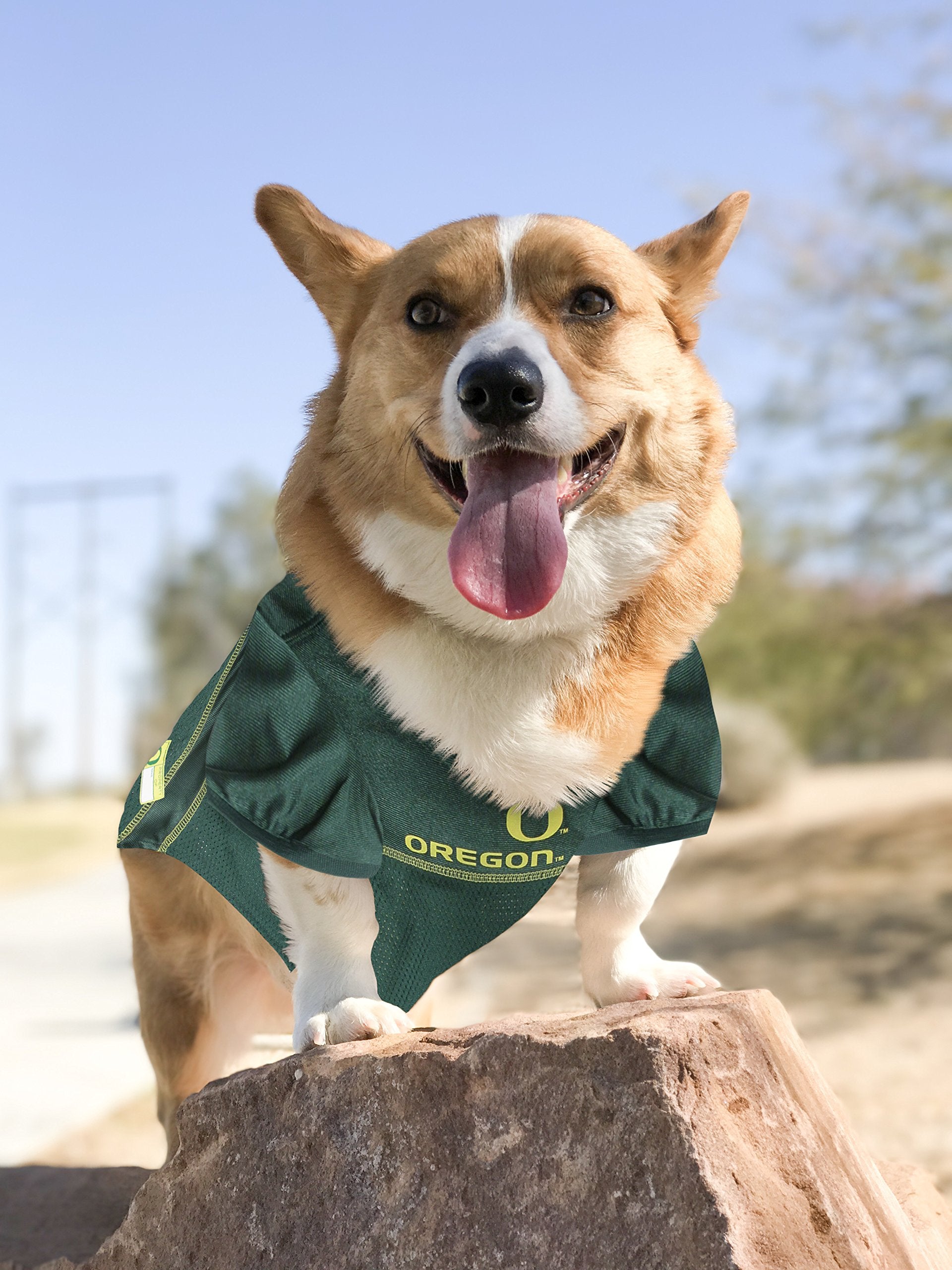 Pets First NCAA College Oregon Ducks Mesh Jersey for DOGS & CATS, X-Small.Licensed Dog Jersey with your Favorite Football/Basket