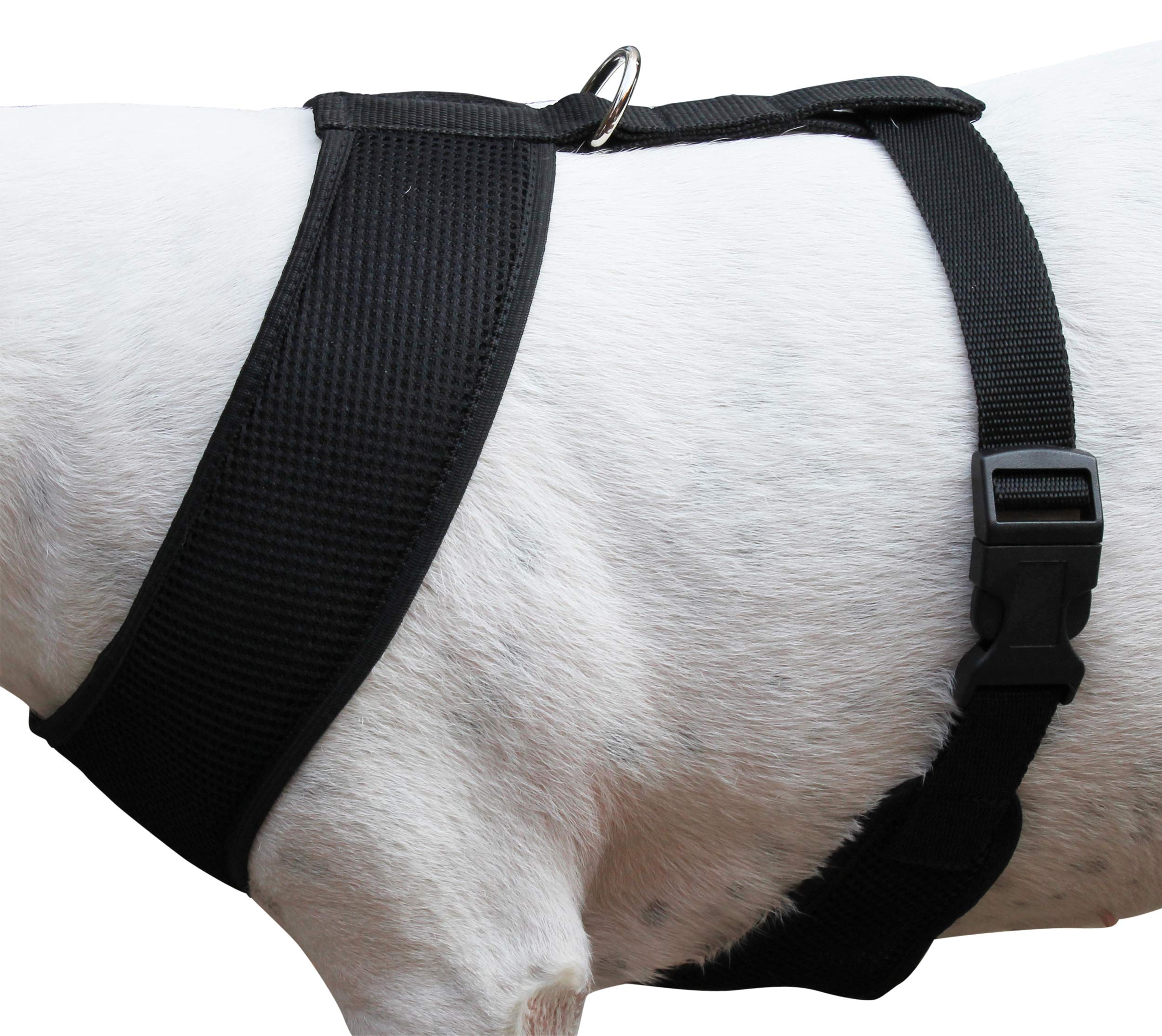 Dogs My Love Soft Mesh Walking Harness For Dogs And Puppies 6 Sizes Black (Xxl (Neck Max: 20''; Chest Girth: 26''-31''))