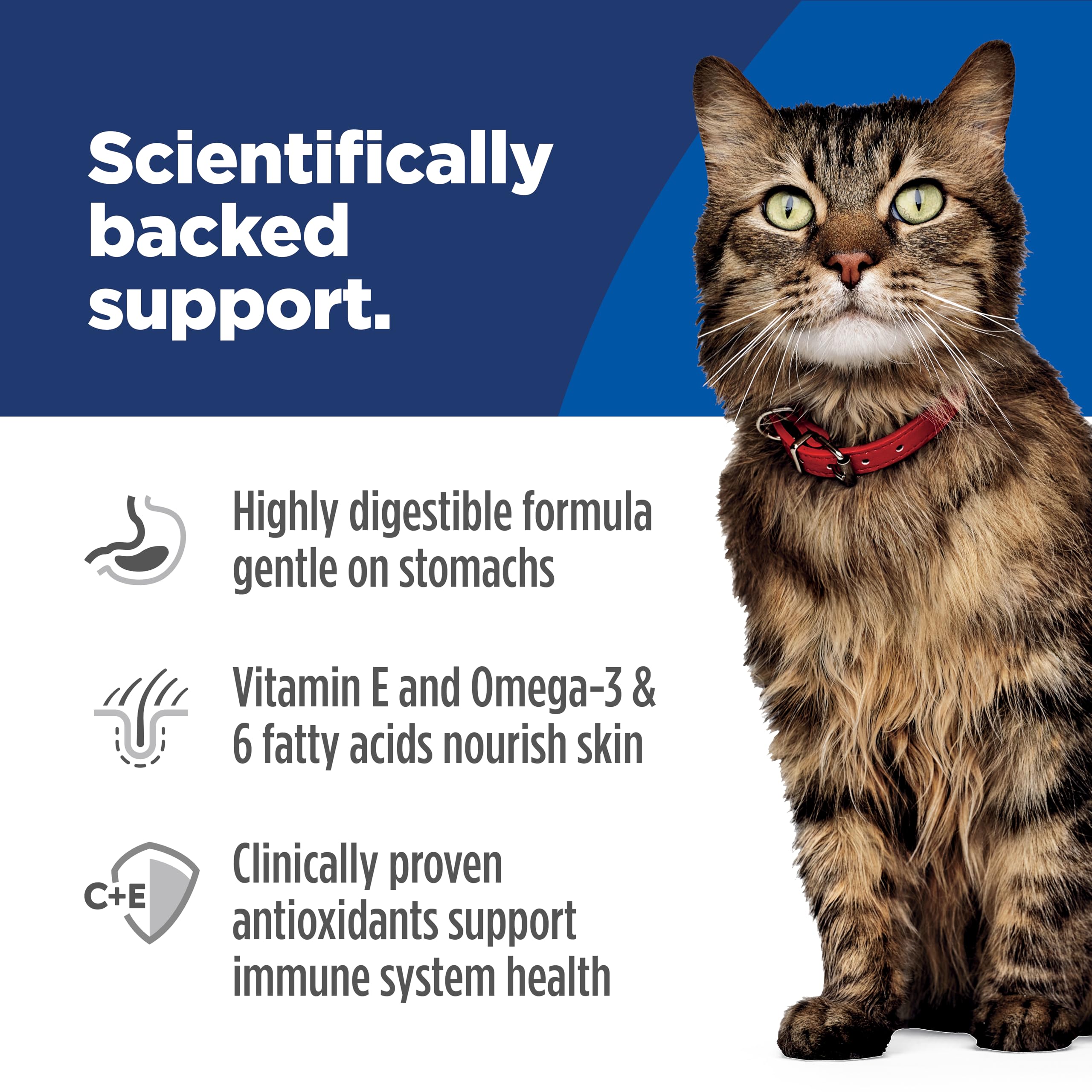 Hills Science Diet Sensitive Stomach & Skin, Adult 1-6, Stomach & Skin Sensitivity Support, Wet Cat Food, Salmon & Vegetables M