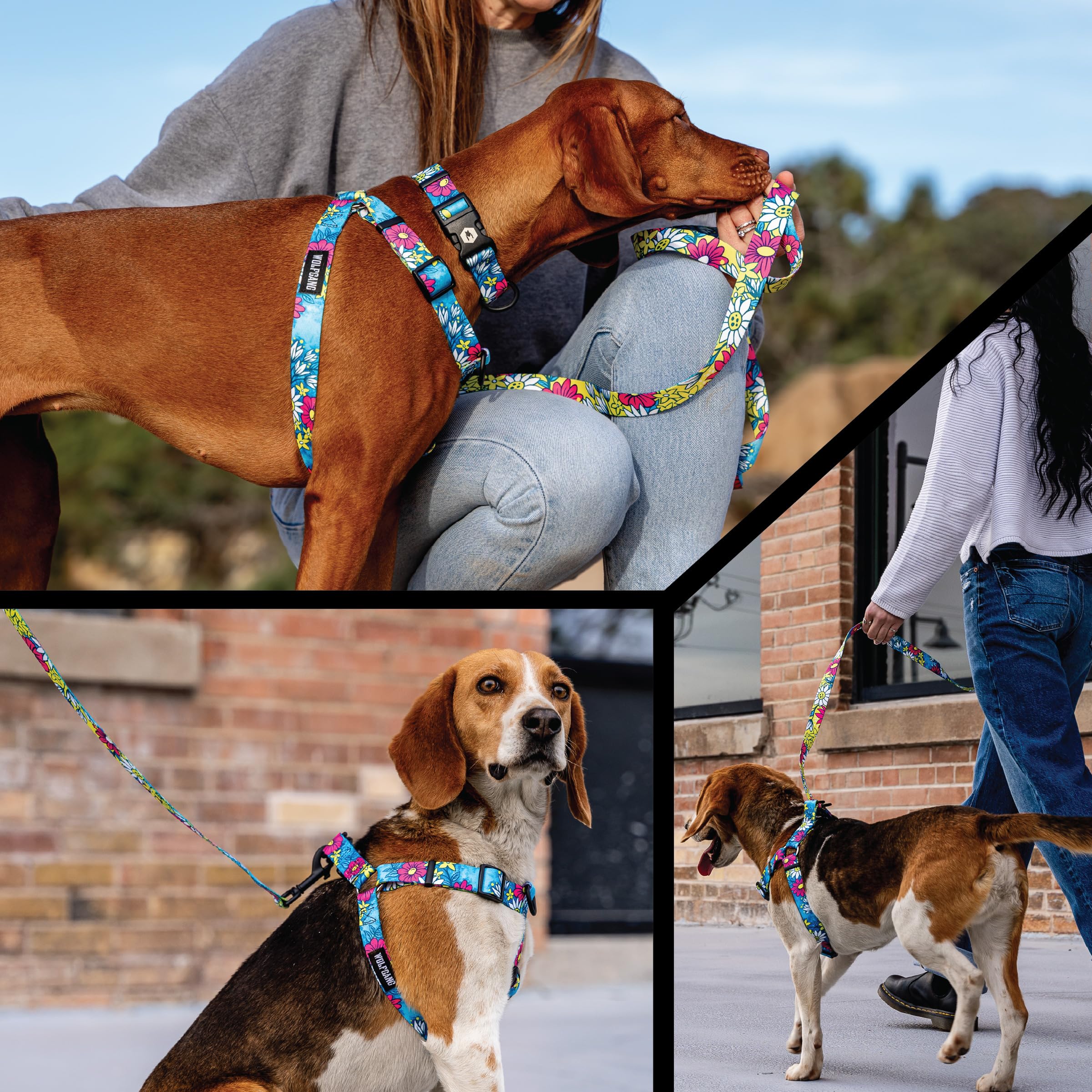 Wolfgang Heavy Duty Adjustable Dog Harness, Pull-Tested for Walking & Training, LazyDaisy Print, X-Large