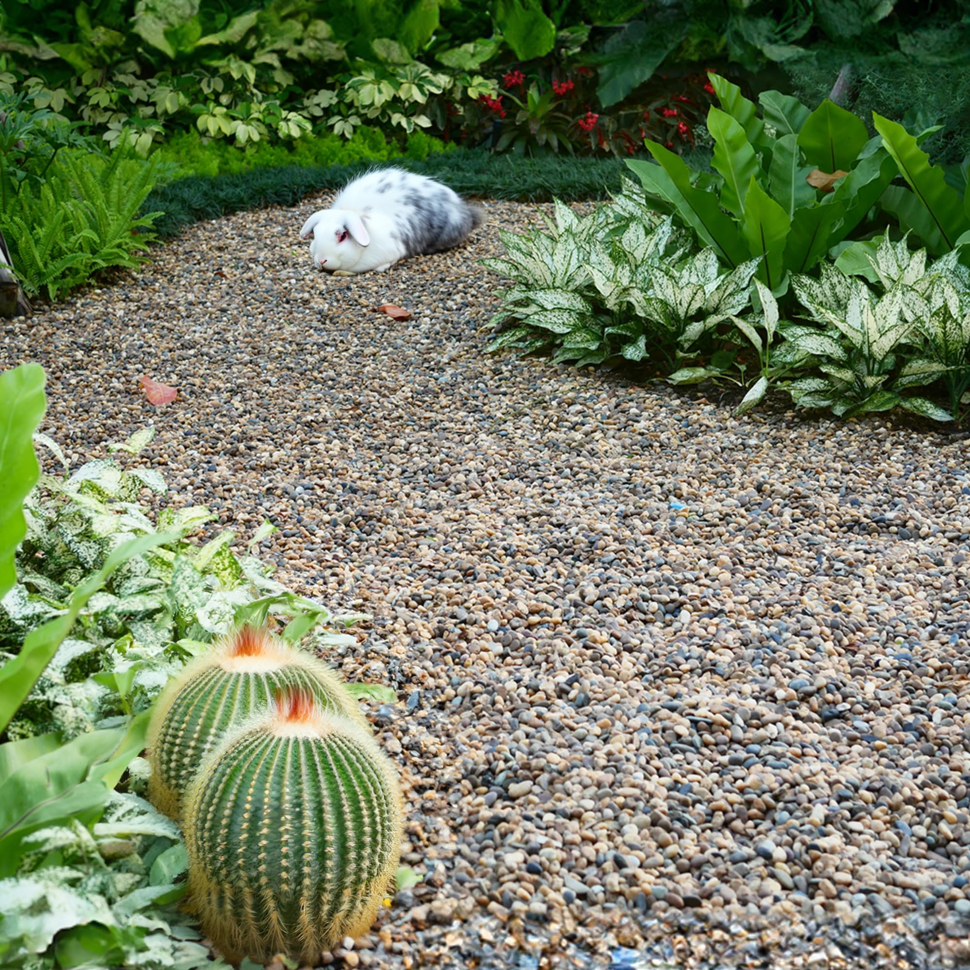 VINICS 20 lbs Aquarium Gravel, 2-4mm Fish Tank Gravel, Succulent Cactus Pea Gravel for Indoor Plants, River Rocks for Gardening,