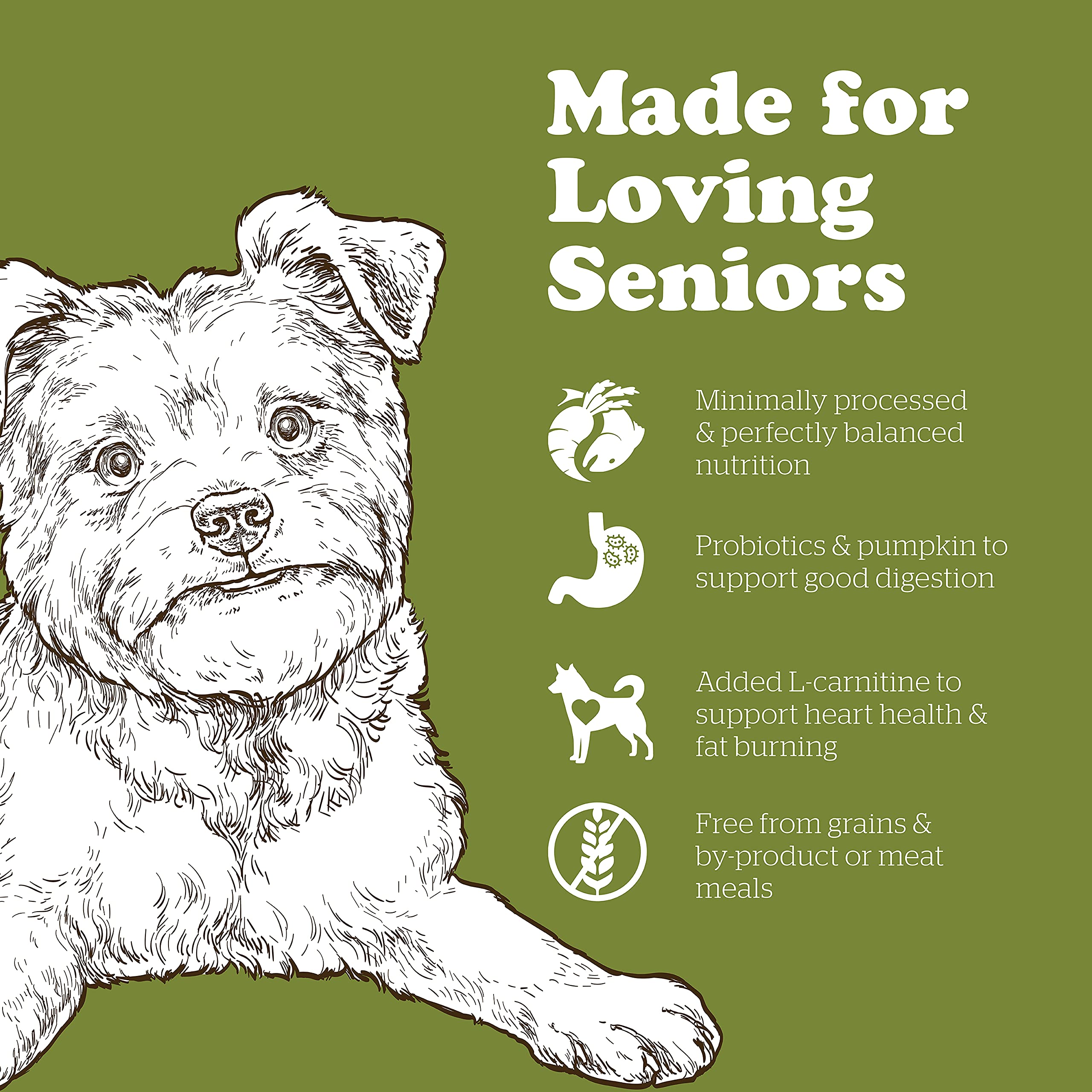 Now Fresh Grain-Free, Dry Dog Food, Small Breed Kibble, Real Meat and Fish, Turkey, Salmon and Duck Senior Recipe, 6 lb Bag