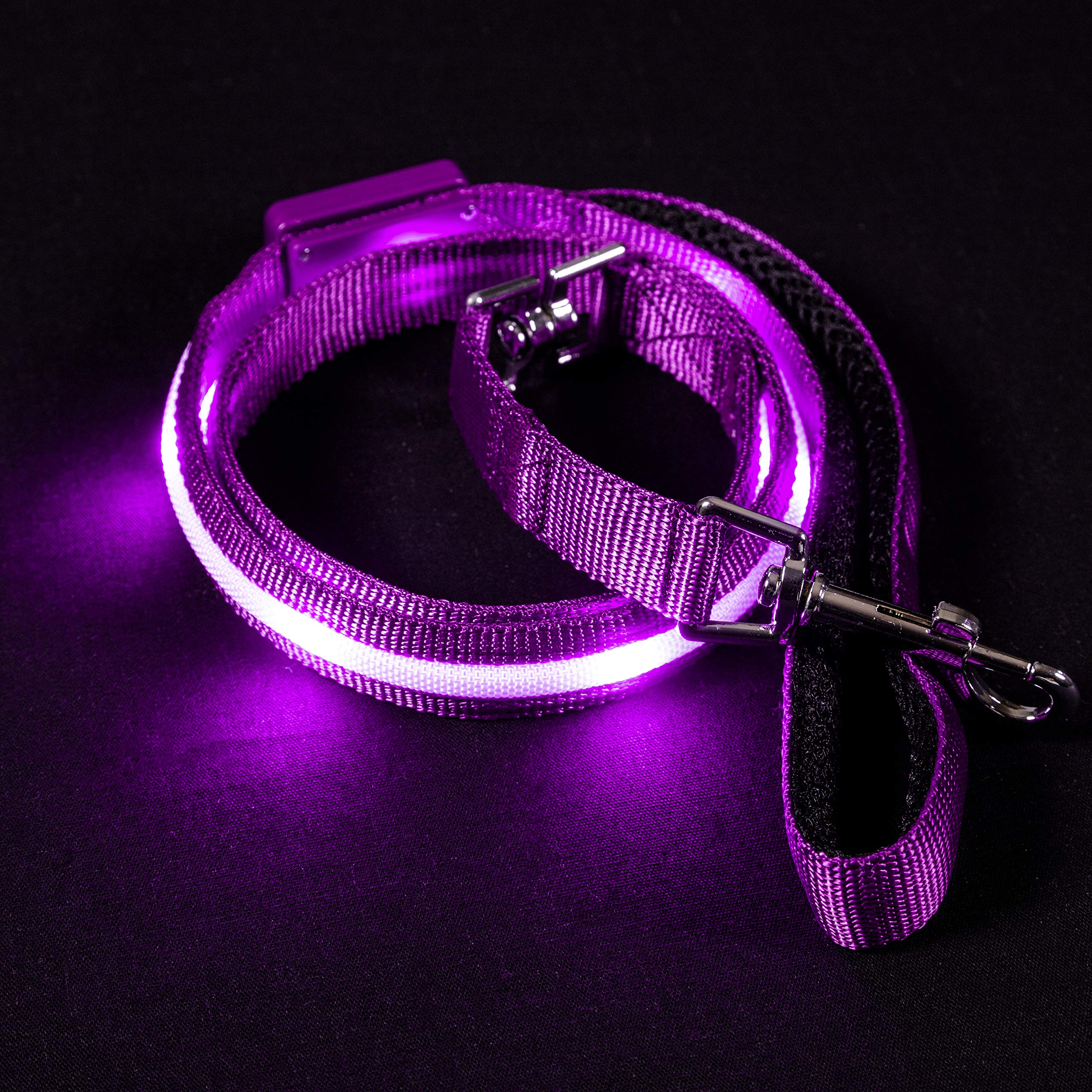 Blazin Light Up Led Dog Leash - 1,000 Feet Visibility - Usb Rechargeable, Waterproof, Glow In Dark - 4 Foot, Purple