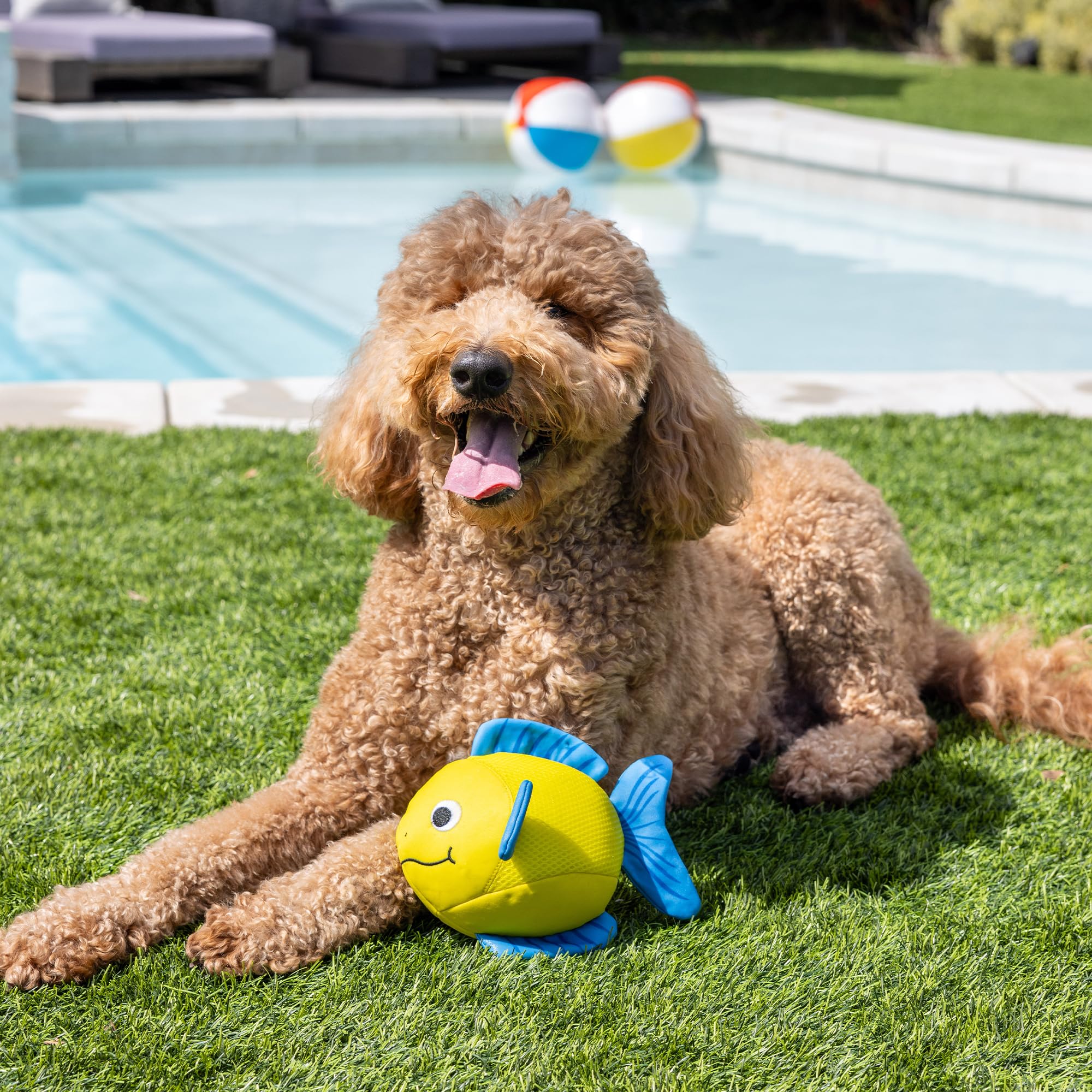 Fringe Studio ''PIPSQUEAK Floating Dog Toys, Pet Shop Collection (640005)