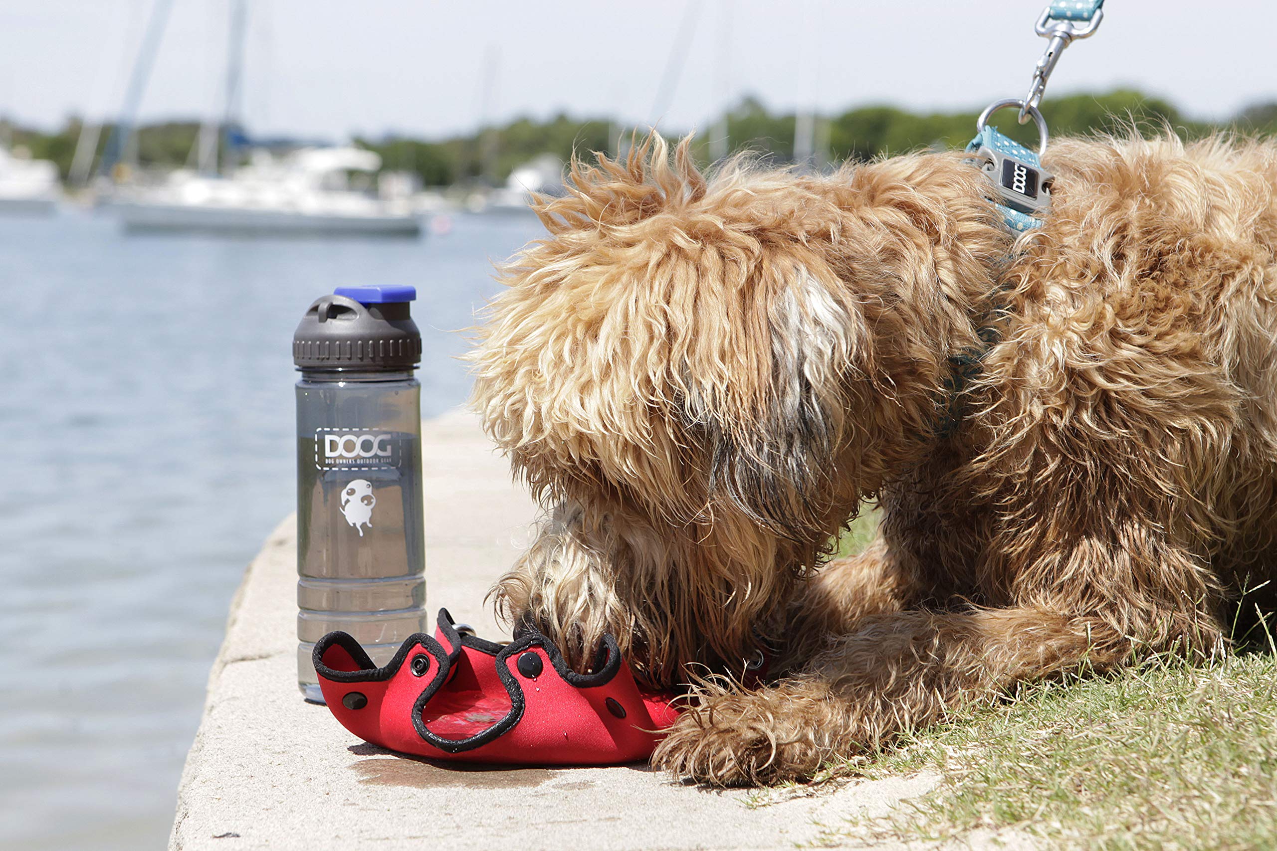 Doog - Dog Owners Outdoor Gear 3-In-1 Water Bottle Plus Drink Insulator Plus Dog Water Bowl - 3 * 3 * 8.5