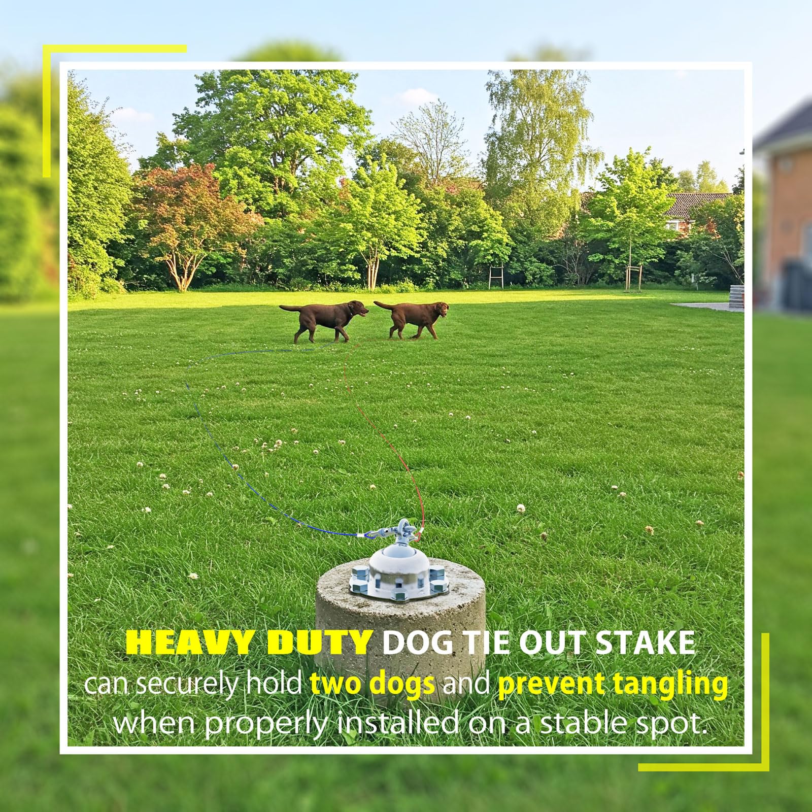 Meegood 360 Swivel Dog Tie Out Stake with Upgrade 6 Screw Dog Anchors, Heavy Duty & Rust Proof Dog Stake Can Holds 1000Lbs of Pu