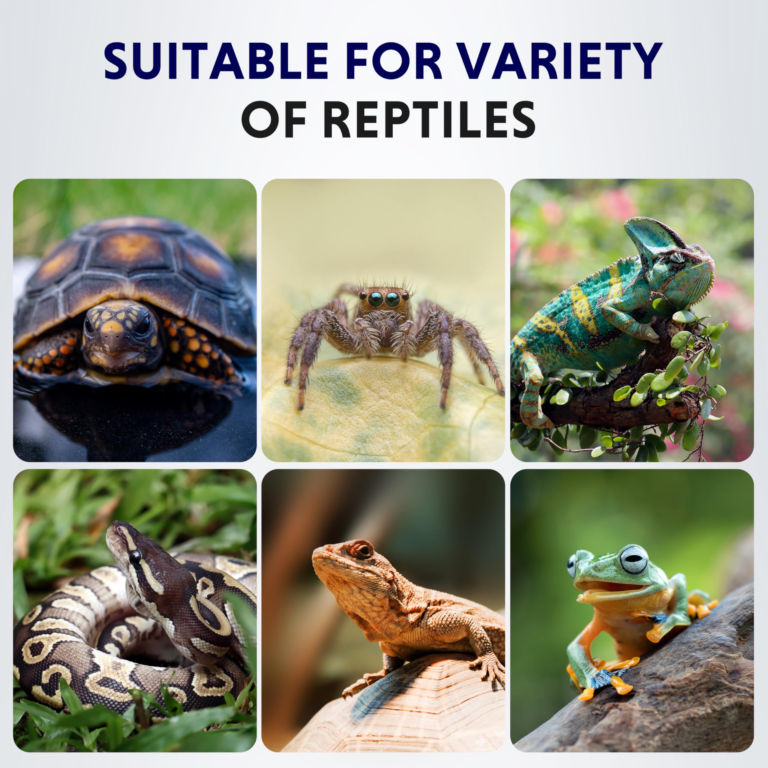 Ipower 6 By 8 Inch 8W Reptile Heating Pad With Adjustable Thermostat, Under Tank Warmer Terrarium Heat Mat For Turtles/Snakes/Li