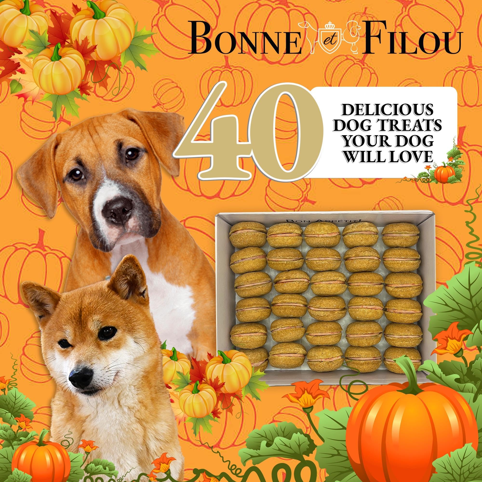 Bonne et Filou Dog Treats Pumpkin Cupcakes - Gourmet Macaron Cakes, 40 Count Bulk Pack - Healthy & Delicious Human Grade Snacks