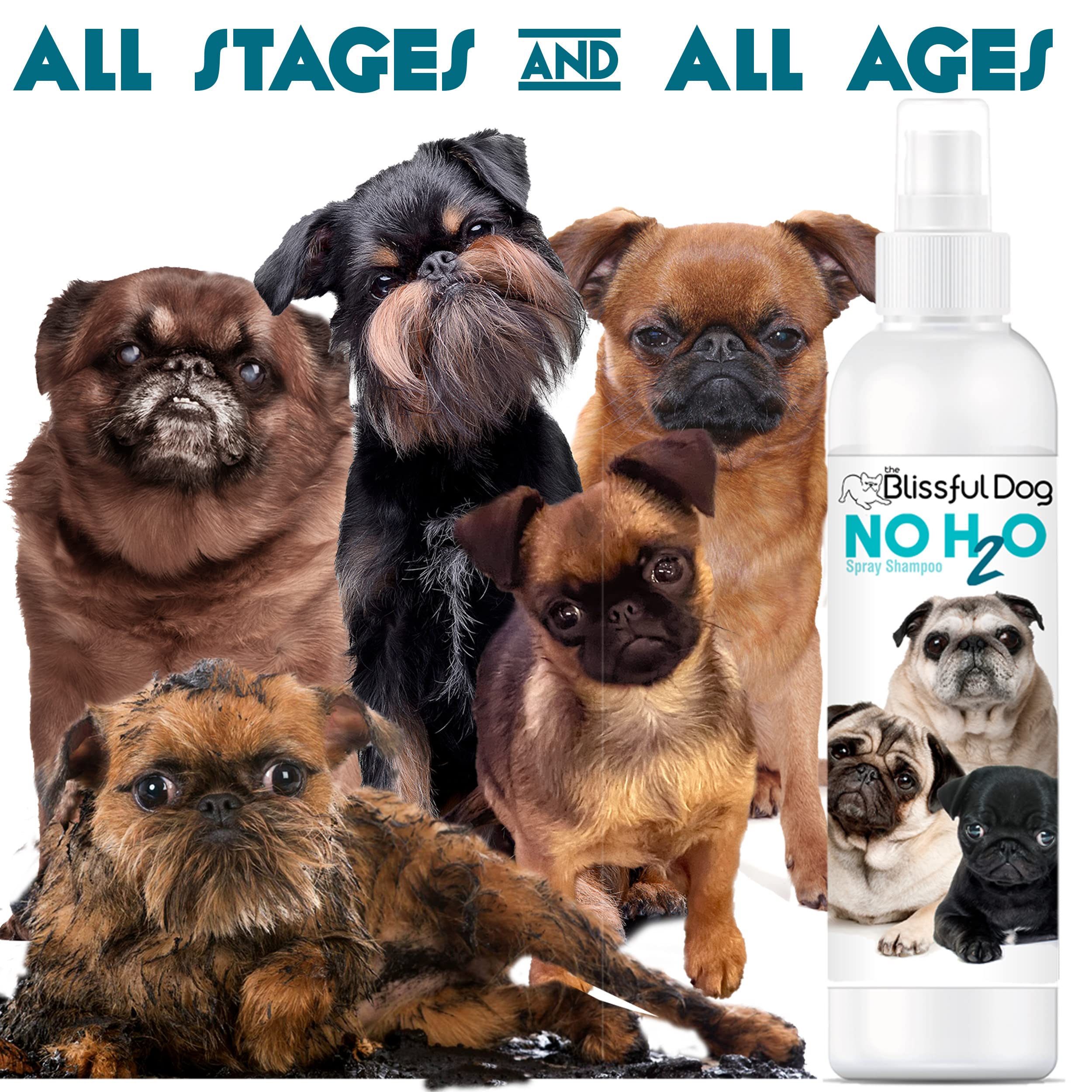 The Blissful Dog No H2O Waterless Pet Shampoo, 16 oz.