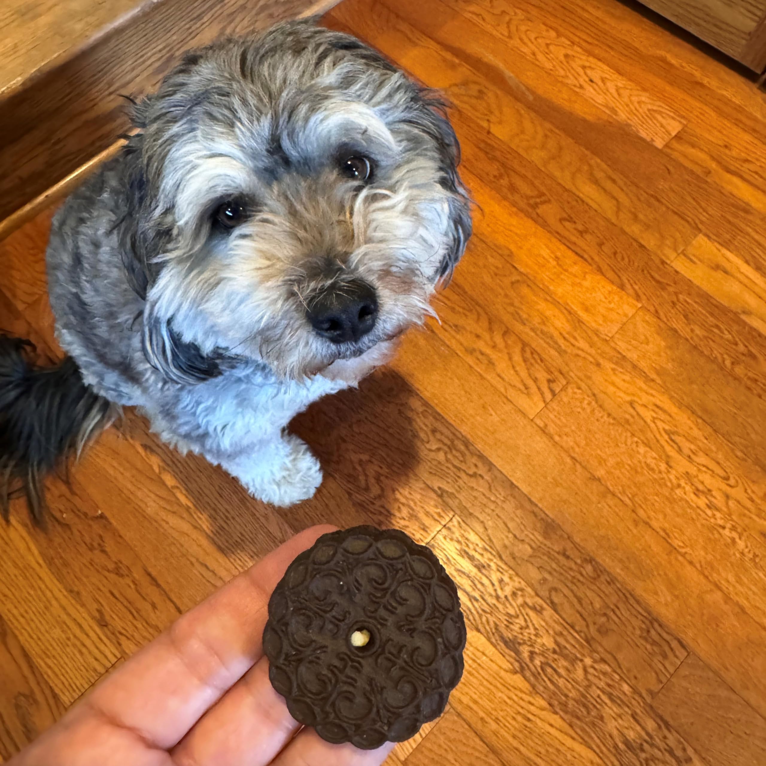 Exclusively Dog Carob Sandwich Cremes Cookies - All Natural Dog Treats, No Animal Byproducts, Baked in The USA, Ideal for Medium