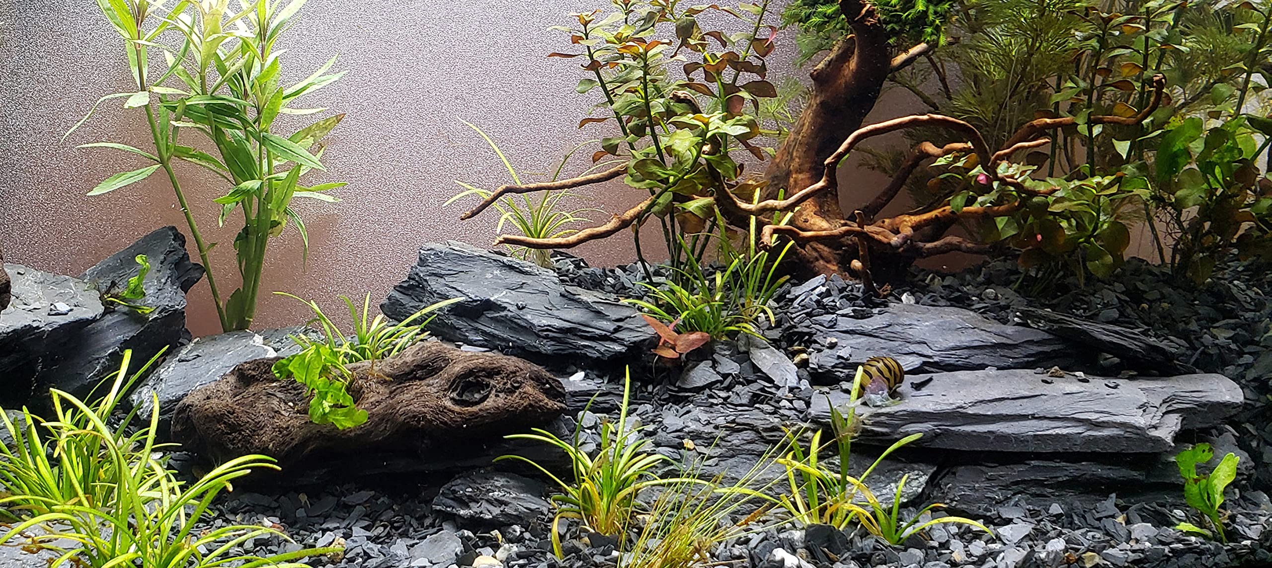 Small World Slate & Stone Natural Slate Rocks for Miniature Gardens, 3-5 Inch, 12 Pounds