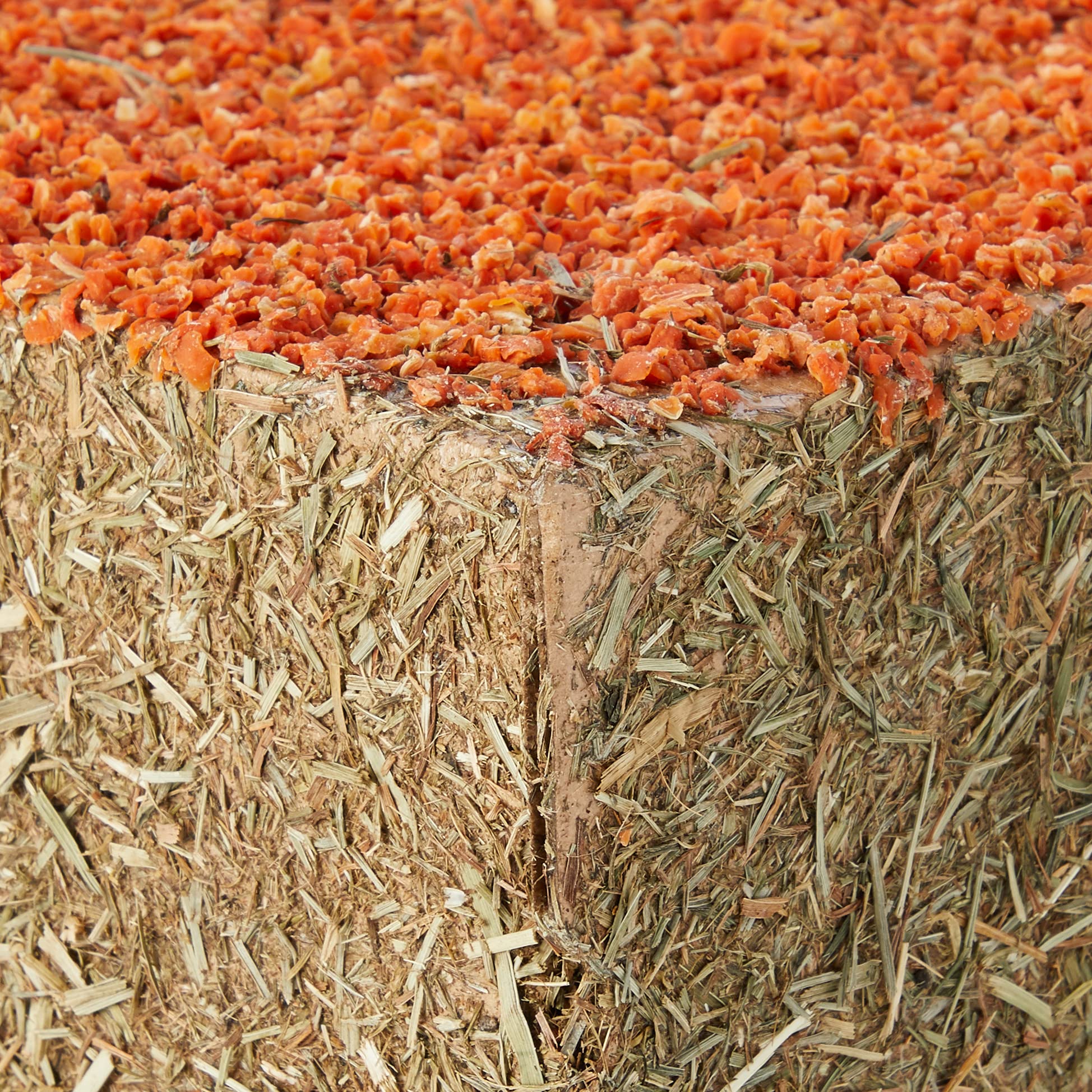 Rosewood Naturals Carrot Cottage House For Guinea Pigs, Chinchillas And Degus, Medium