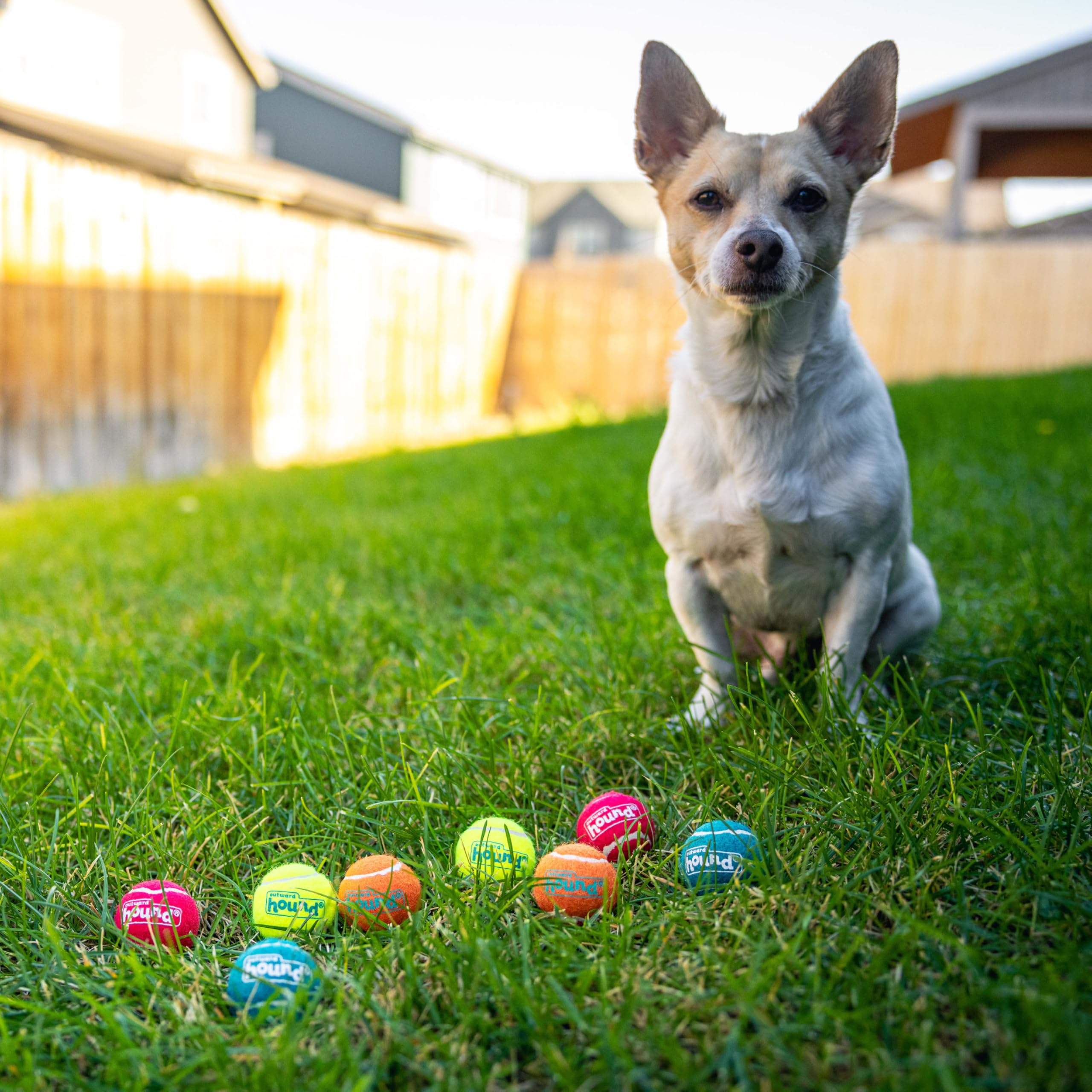 Outward Hound Squeaker Ballz – Squeaky Tennis Balls for Small Dogs, X-Small (1.5"), 8-Pack, Multi Color, Rubber