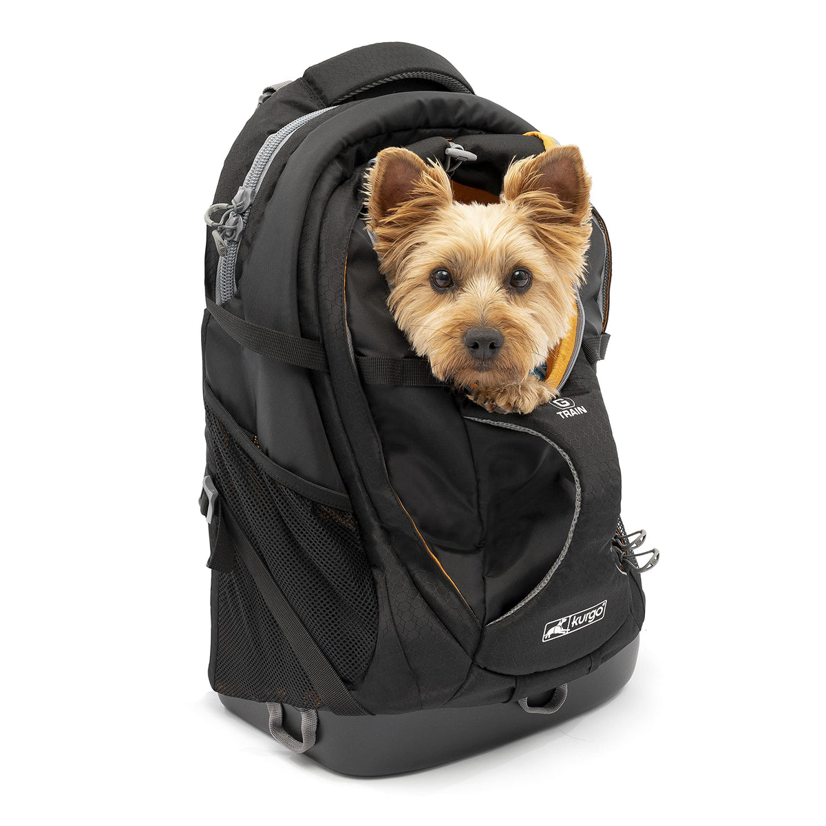 Kurgo G-Train - Dog Carrier Backpack For Small Pets - Cat & Dog Backpack For Hiking, Camping Or Travel - Chest Straps & Hip Belt - Reflective - Two Water Bottle Sleeves - Waterproof Bottom (Black)