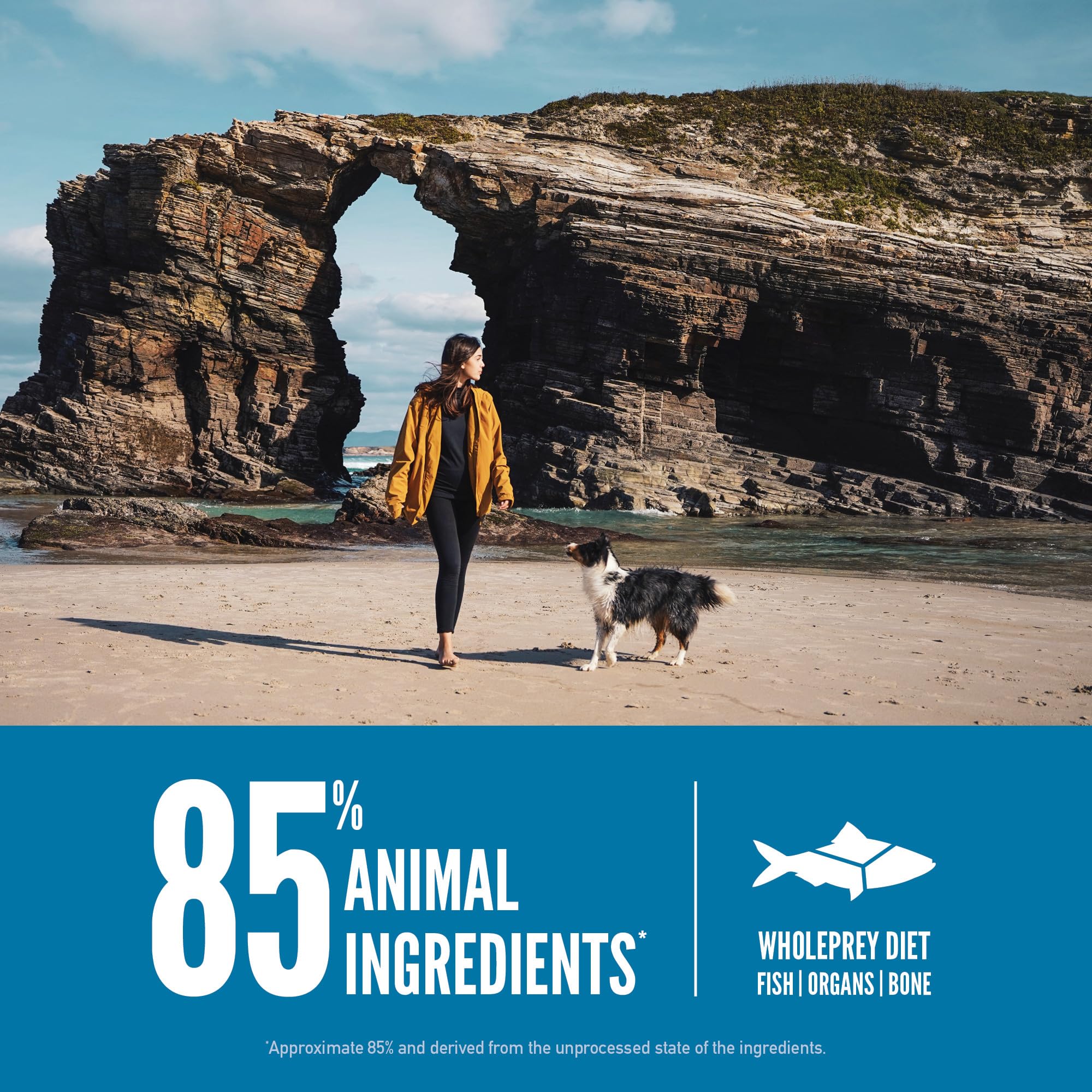 ORIJEN Six Fish Dry Dog Food, Grain Free and Chicken Free Dog Food, Fresh or Raw Ingredients, 23.5lb