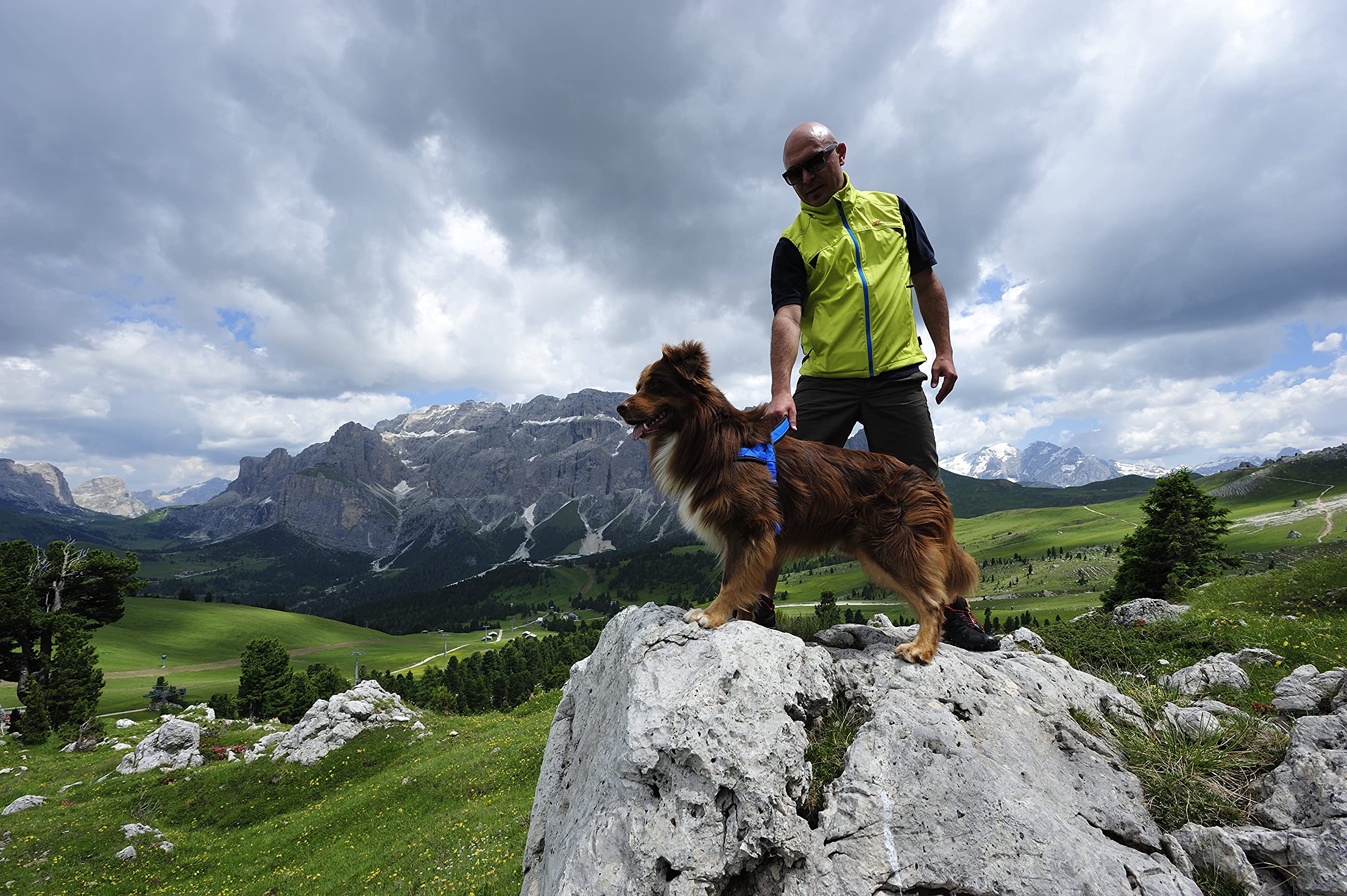 Neewa Sport Harness (Large, Yellow), Padded Dog Harness, With Control Handle, Easy To Put On And Take Off