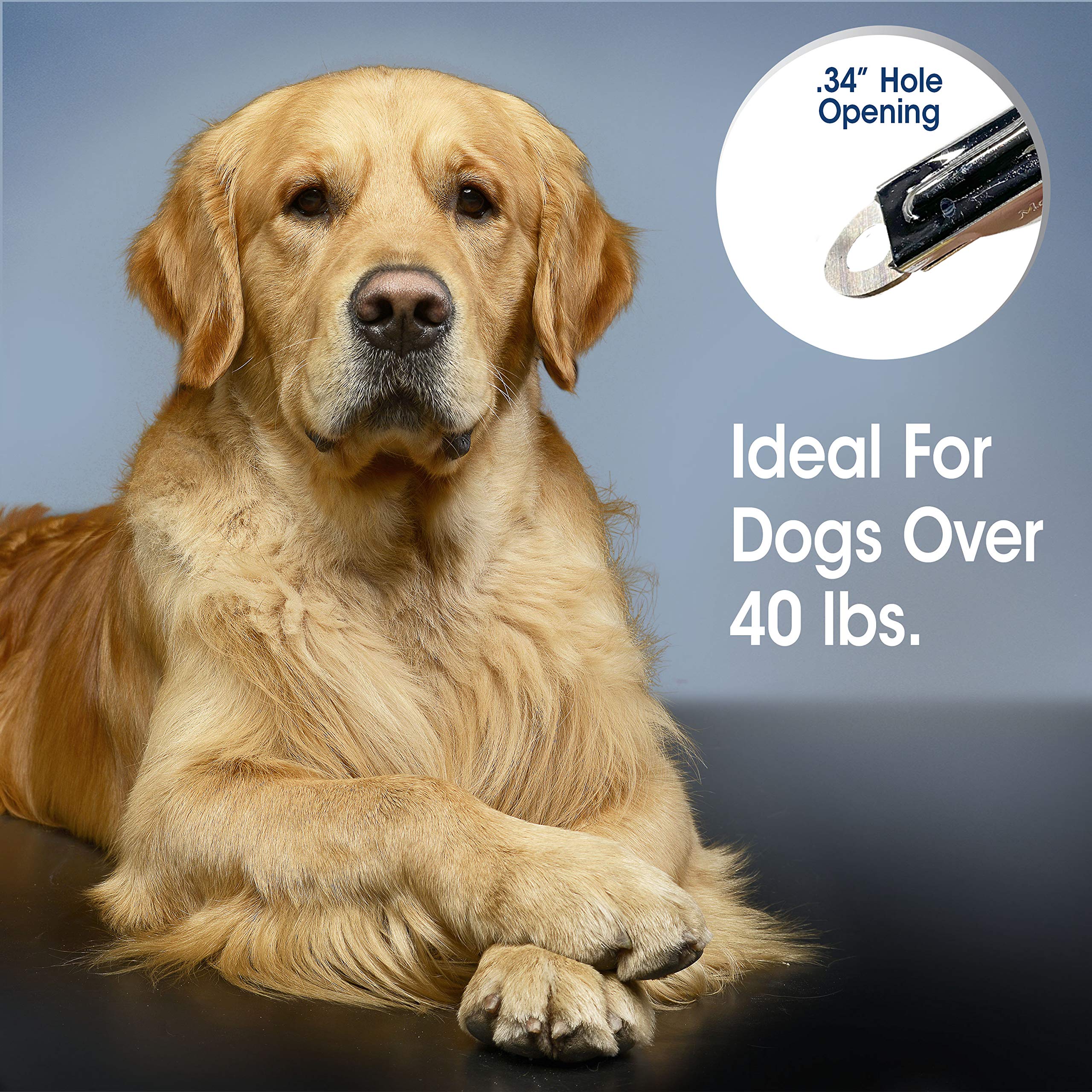 Four Paws Magic Coat Professional Series Nail Trimmer For Dogs Large