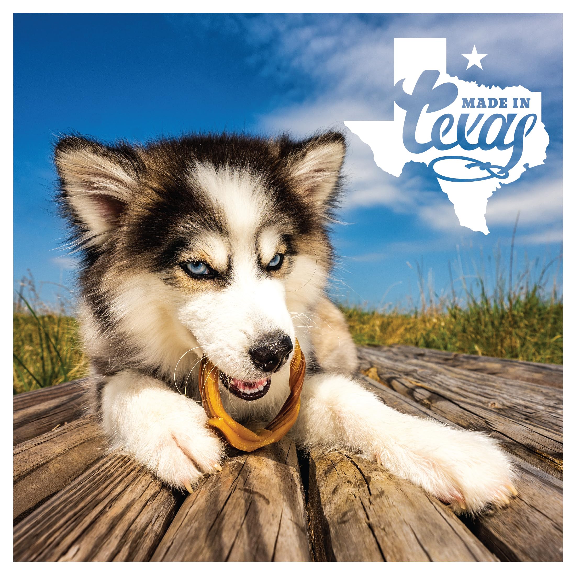 N-Bone Puppy Teething Rings Taste Of Texas Burnt Ends Flavor 3 Count