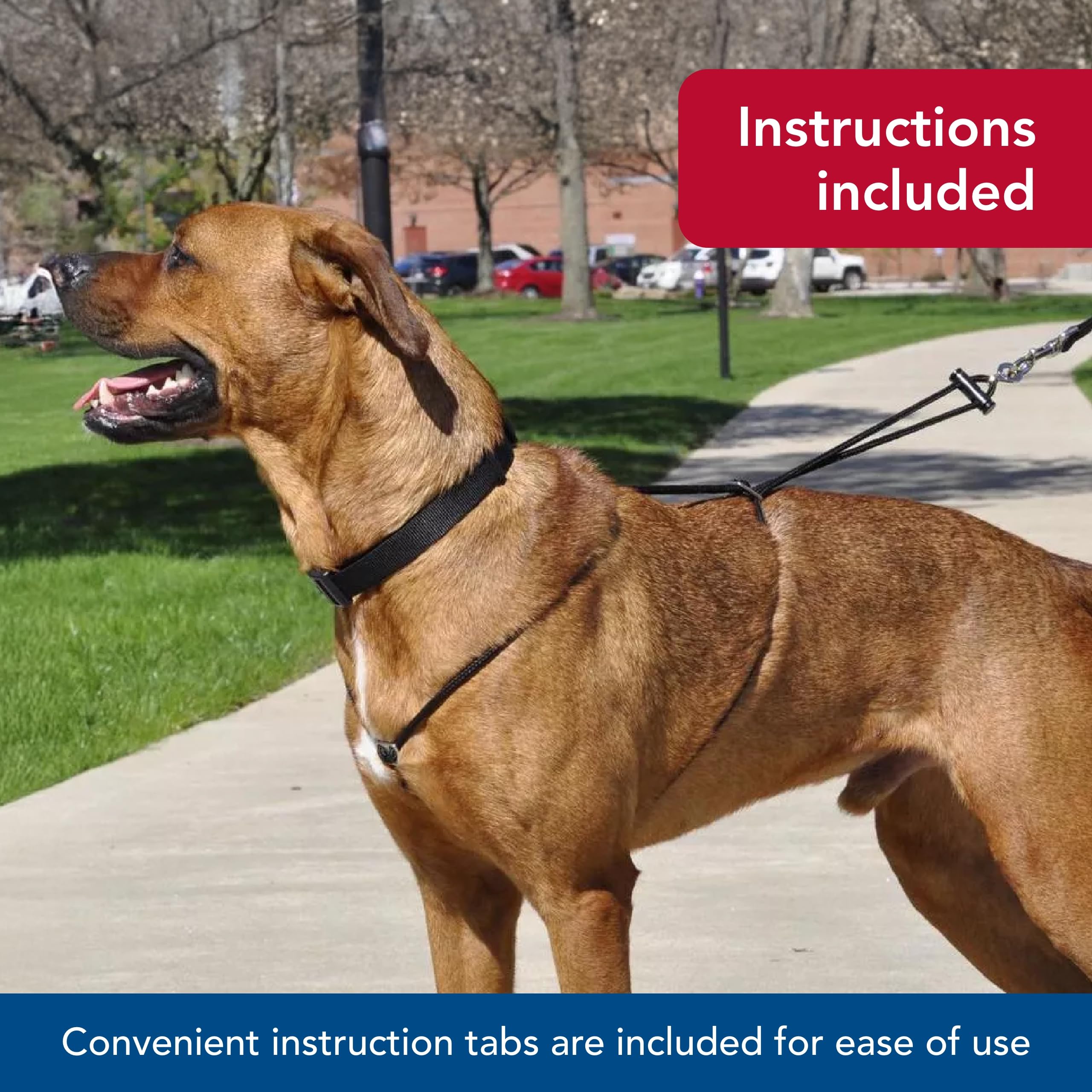 Coastal Pet Holt Adjustable Dog Control Harness - Big & Small Dog Harness - Walking Harness For Dogs - Instructions Included - Top-Grade Pet Supplies For Dogs - Black, Small (14')