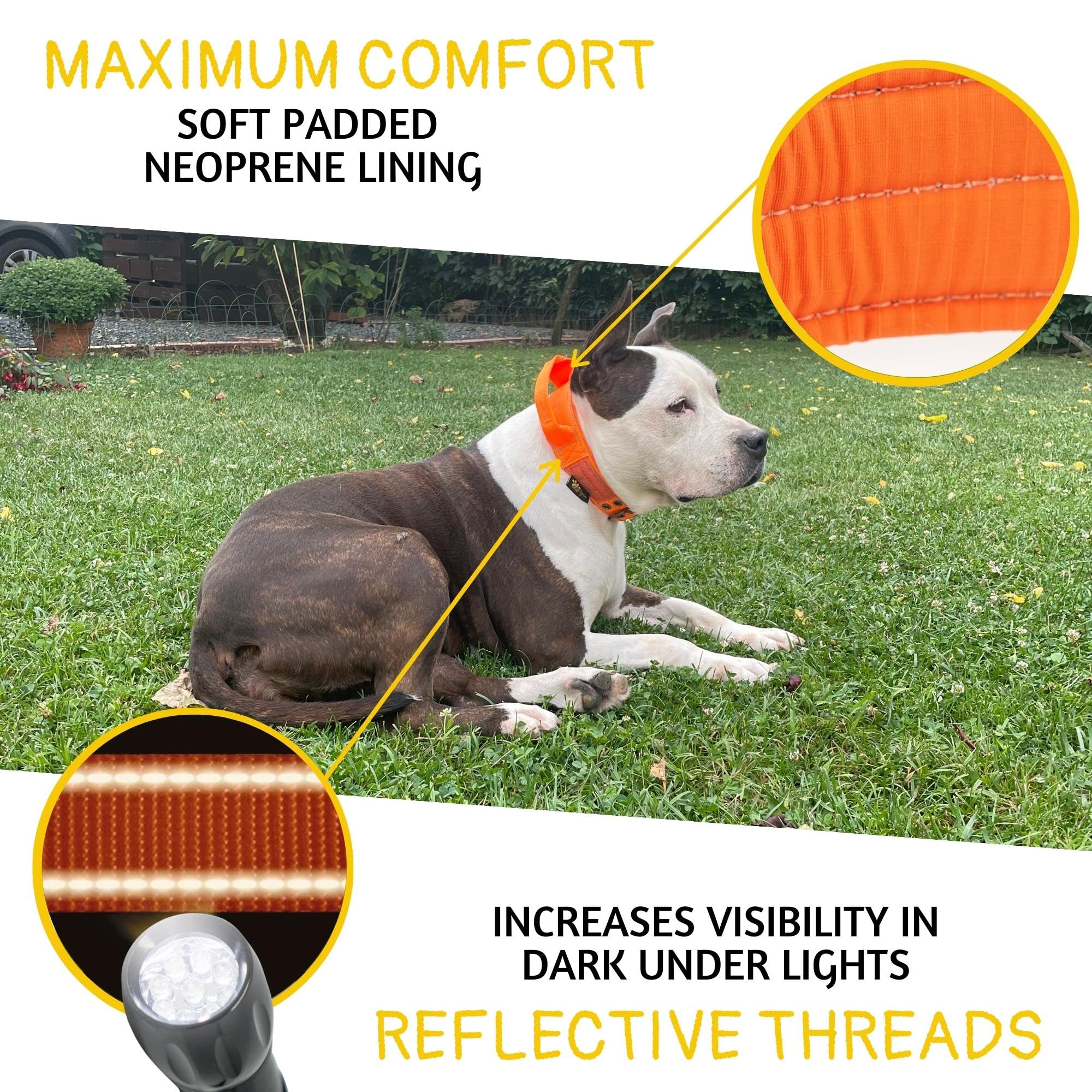 Adityna Heavy Duty Dog Collar For Extra-Large Dogs - Reflective Orange Collar With Handle For Training, And Walking - Wide, Thic