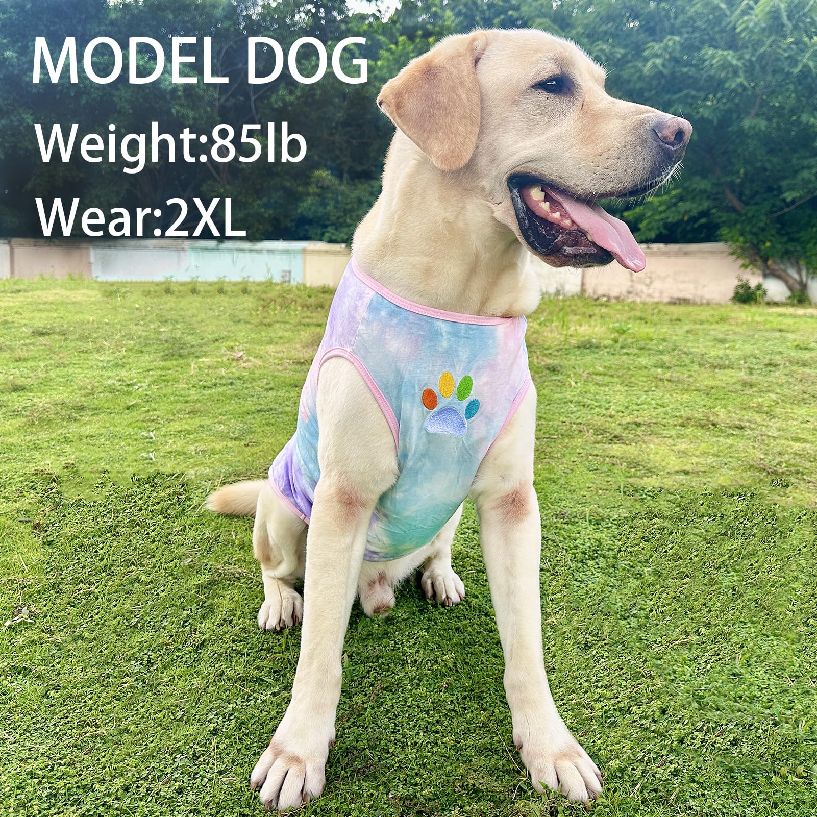 PriPre Dog Shirt Dog Vest Summer Tie Dye Dog Clothes Cool Breathable Cotton T-Shirt Medium Large Dog Boys Girls Shirt M