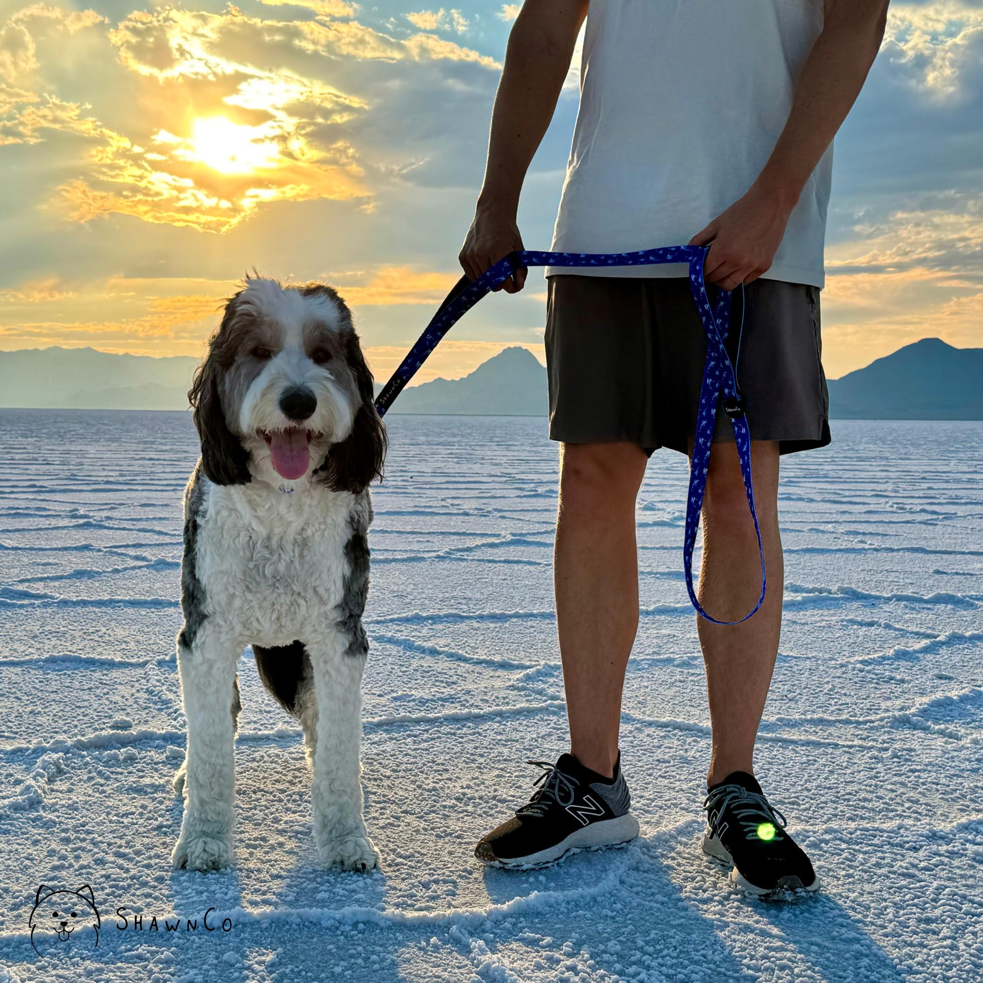 Shawnco Dream Walk Dog Leash- Premium, Nylon Pet Leash With Soft Neoprene Handle For Small, Medium And Large Dogs (Wolf Moon, M/