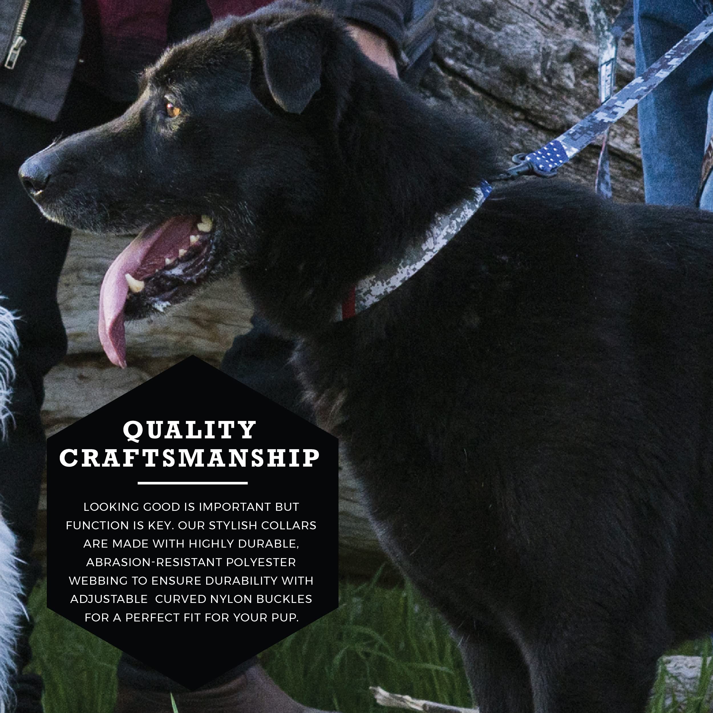 Wolfgang Heavy Duty, Adjustable Dog Collar With Quick Release Nylon Buckle For Walking & Training, Digitaldog Print, Small