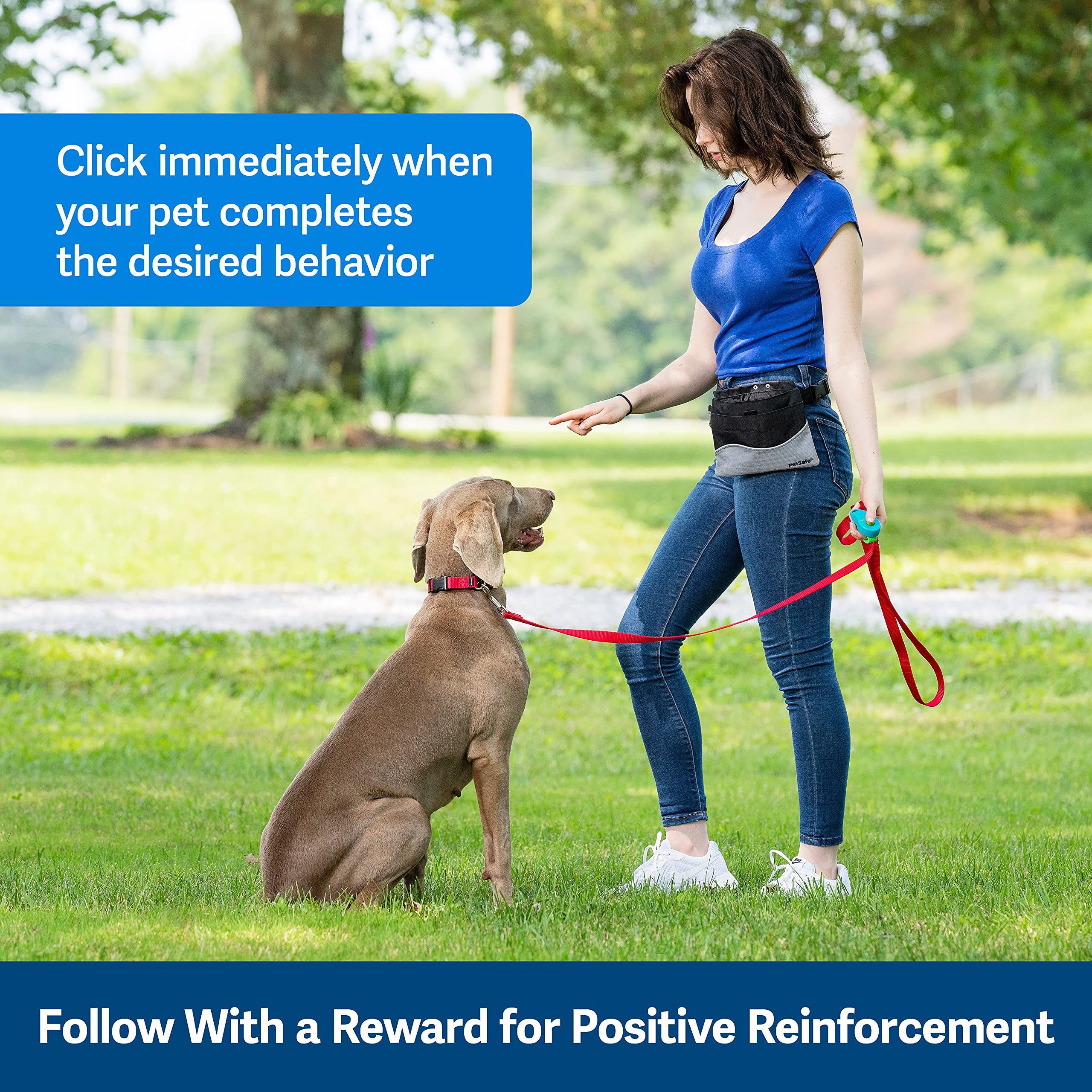 Petsafe Clik-R Dog Training Clicker - Positive Behavior Reinforcer For Pets - All Ages, Puppy And Adult Dogs - Use To Reward And