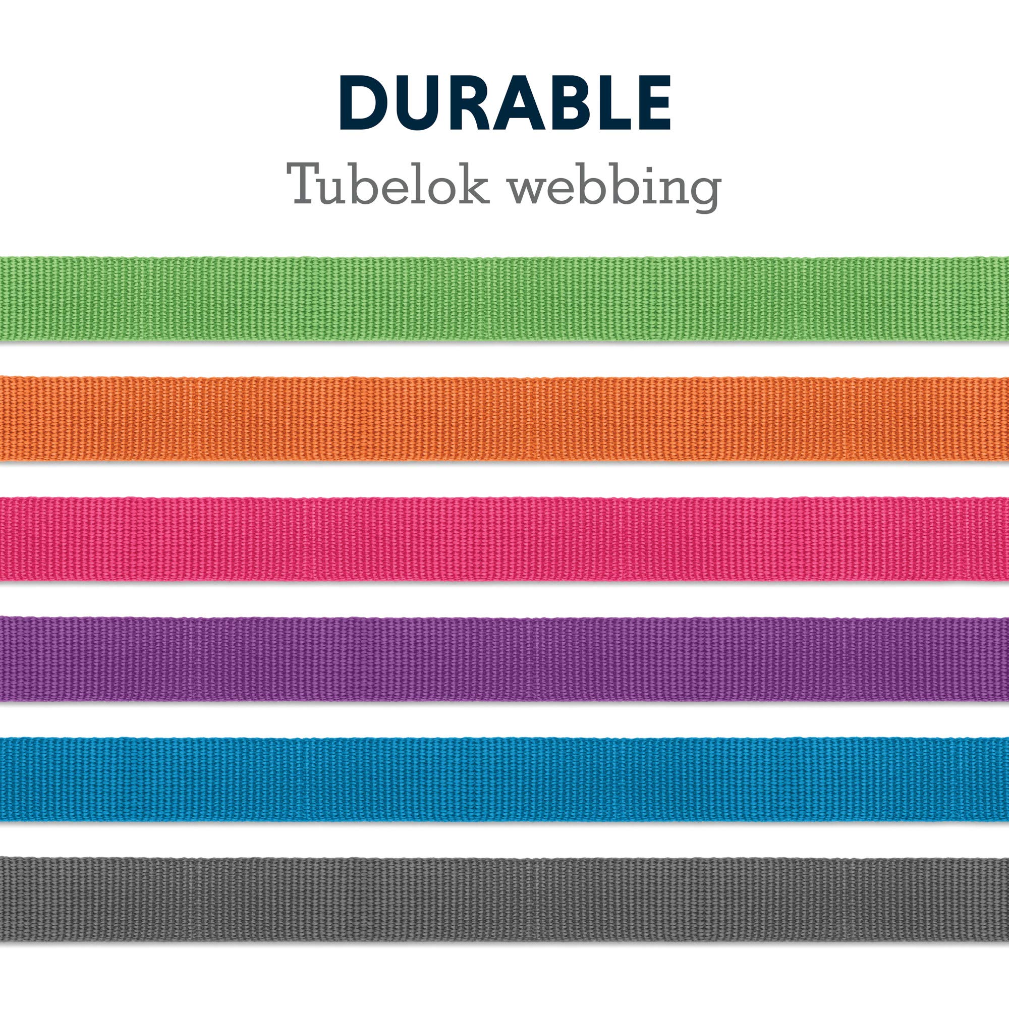 Ruffwear, Front Range Dog Leash, 5 Ft Lead With Padded Handle For Everyday Walking, Reef Fish