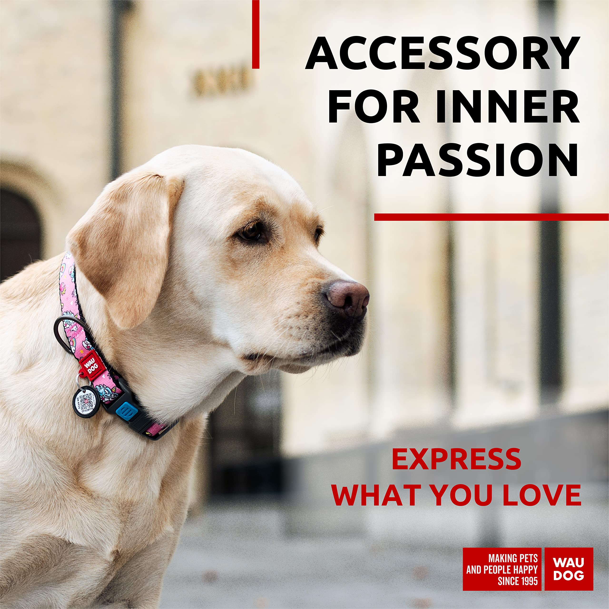 Nylon Dog Collar - Adjustable Dog Collar For Large Dogs, Small & Medium Dogs - Breakaway Puppy Collars For Large Breed Dogs - Bo
