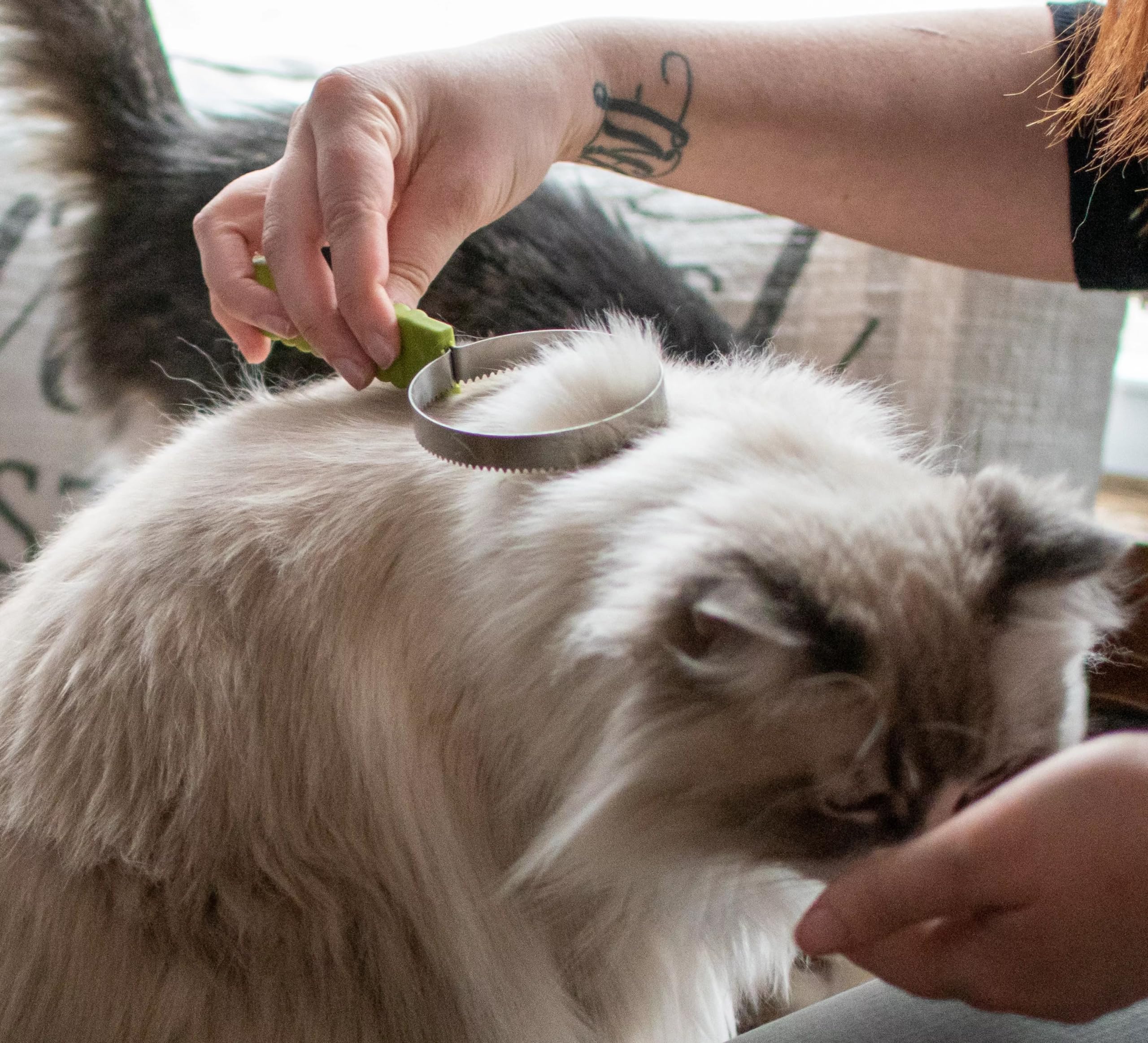 Coastal Pet Stainless Steel Safari Cat Shedding Blade - Cat Hair Removal Brush - Pet Grooming Tool To Prevent Hairballs - 7.5' X 3'